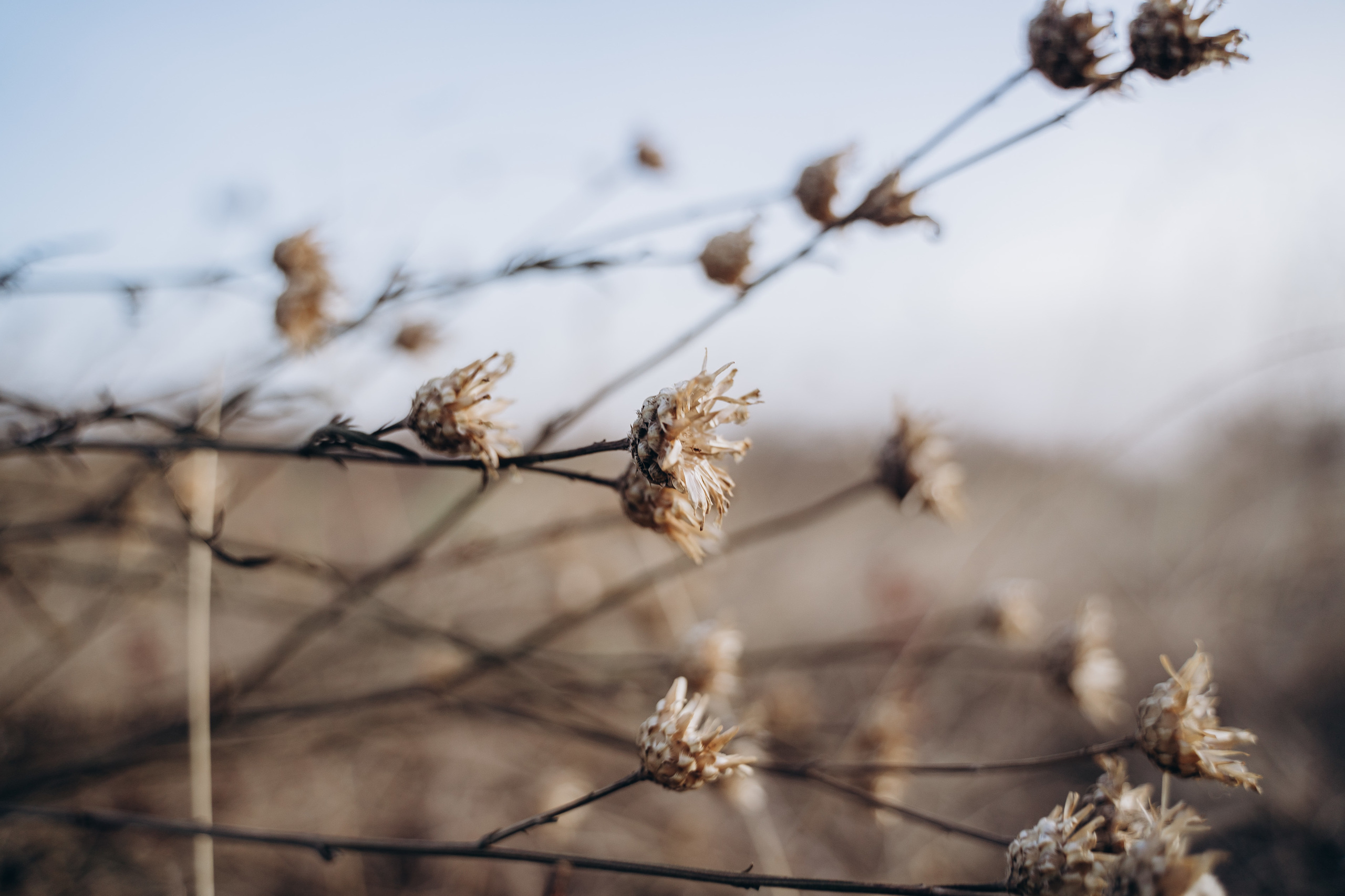 Альберт и Маргарита. Orange County Wedding Photographer & Videographer | Candid & Timeless Wedding Photo + Video | Italiantsev