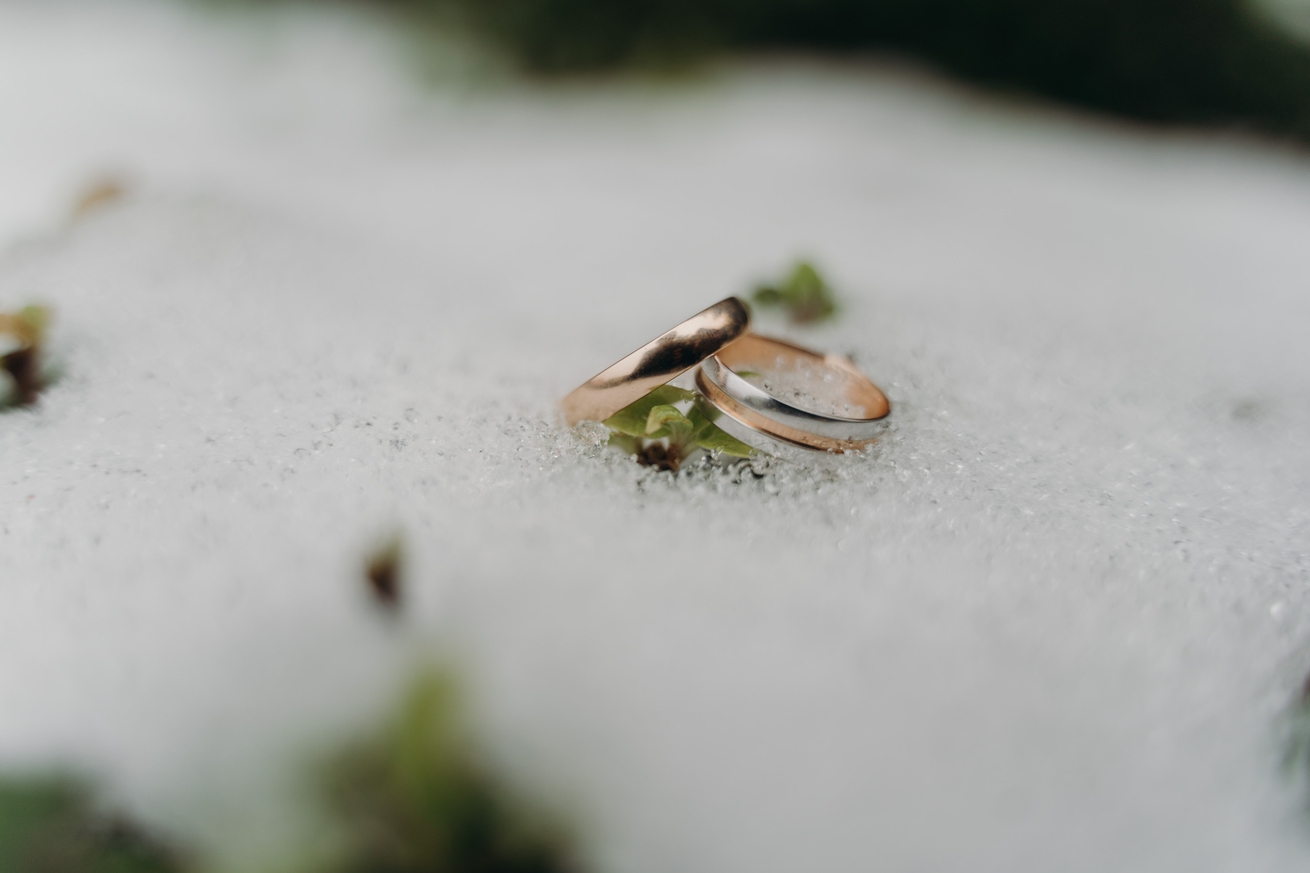 Роман и Алина. Orange County Wedding Photographer & Videographer | Candid & Timeless Wedding Photo + Video | Italiantsev