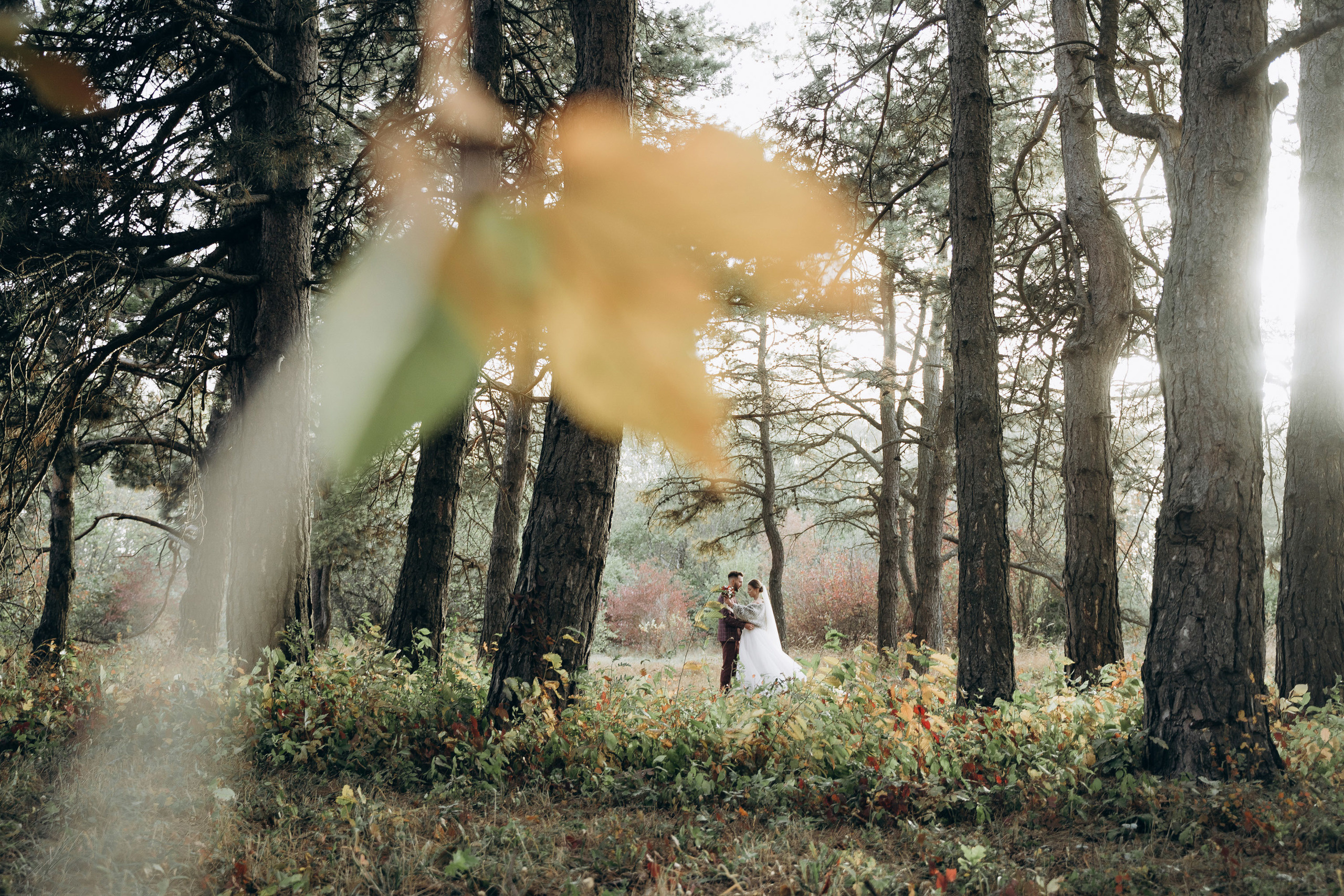 Евгений и София. Orange County Wedding Photographer & Videographer | Candid & Timeless Wedding Photo + Video | Italiantsev