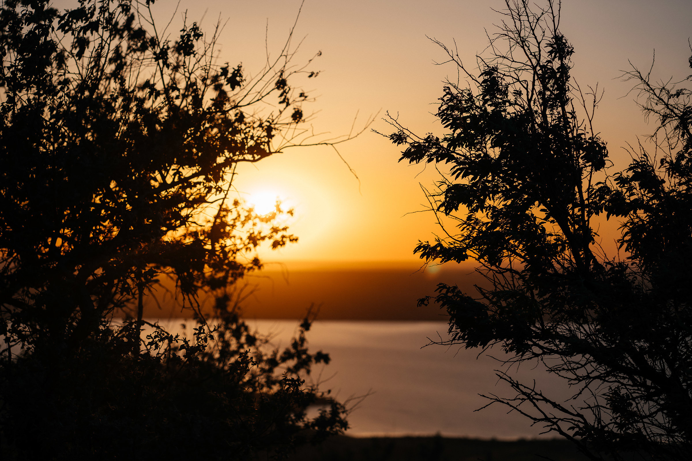 M&E. Orange County Wedding Photographer & Videographer | Candid & Timeless Wedding Photo + Video | Italiantsev