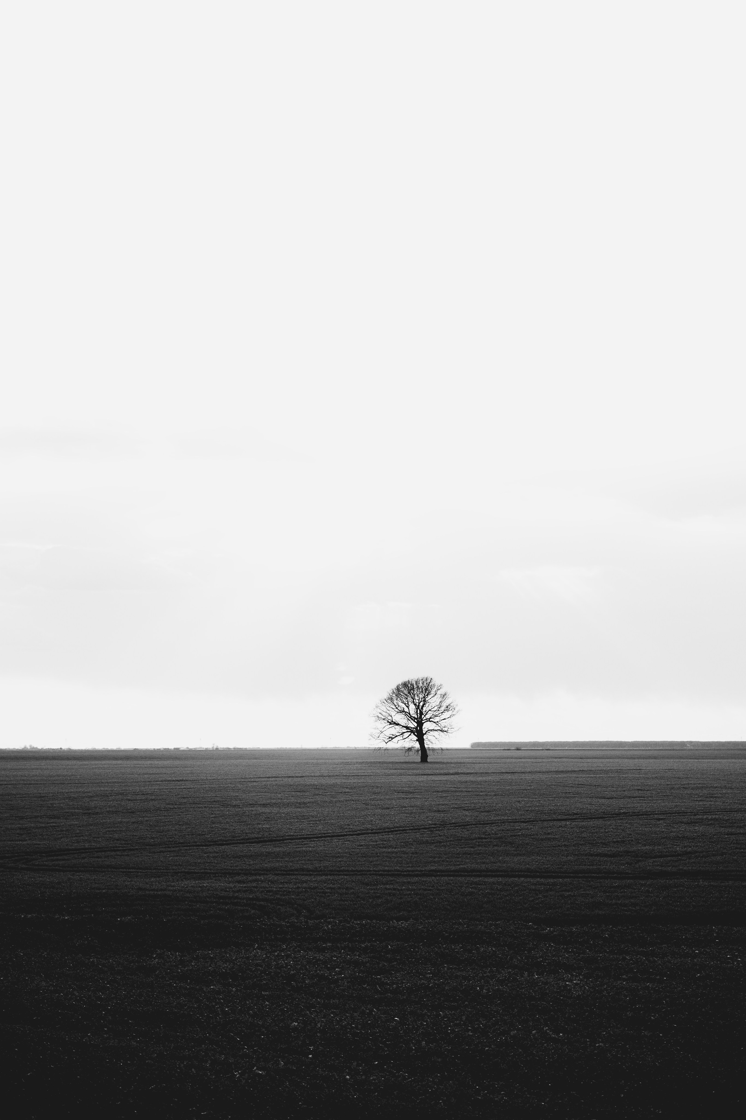 Modern nature. Geany Cazan