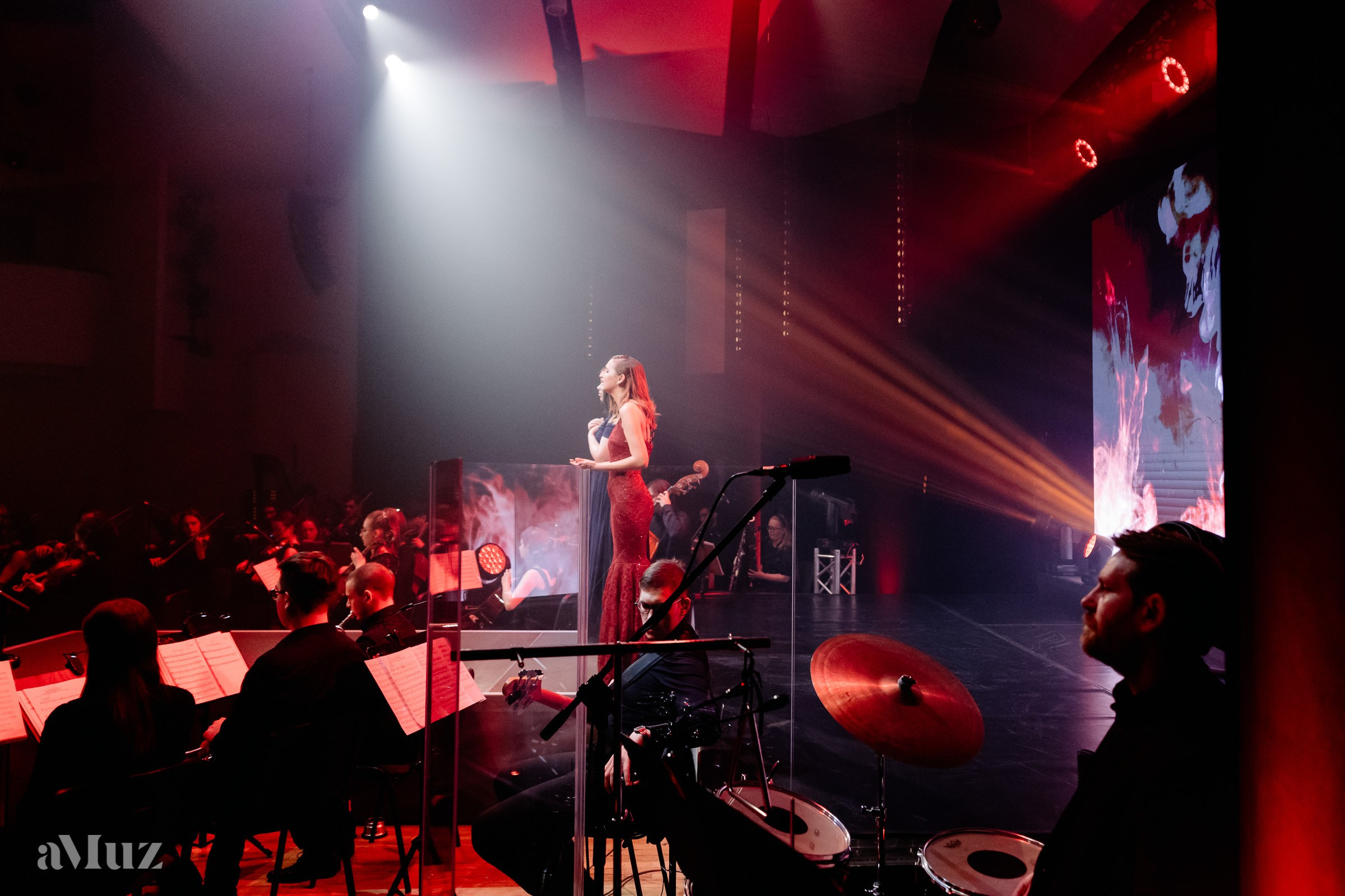 Koncert Amuz.pl. Fotograf Ślubny Warszawa - Sesje Biznesowe Rodzinne Eventy