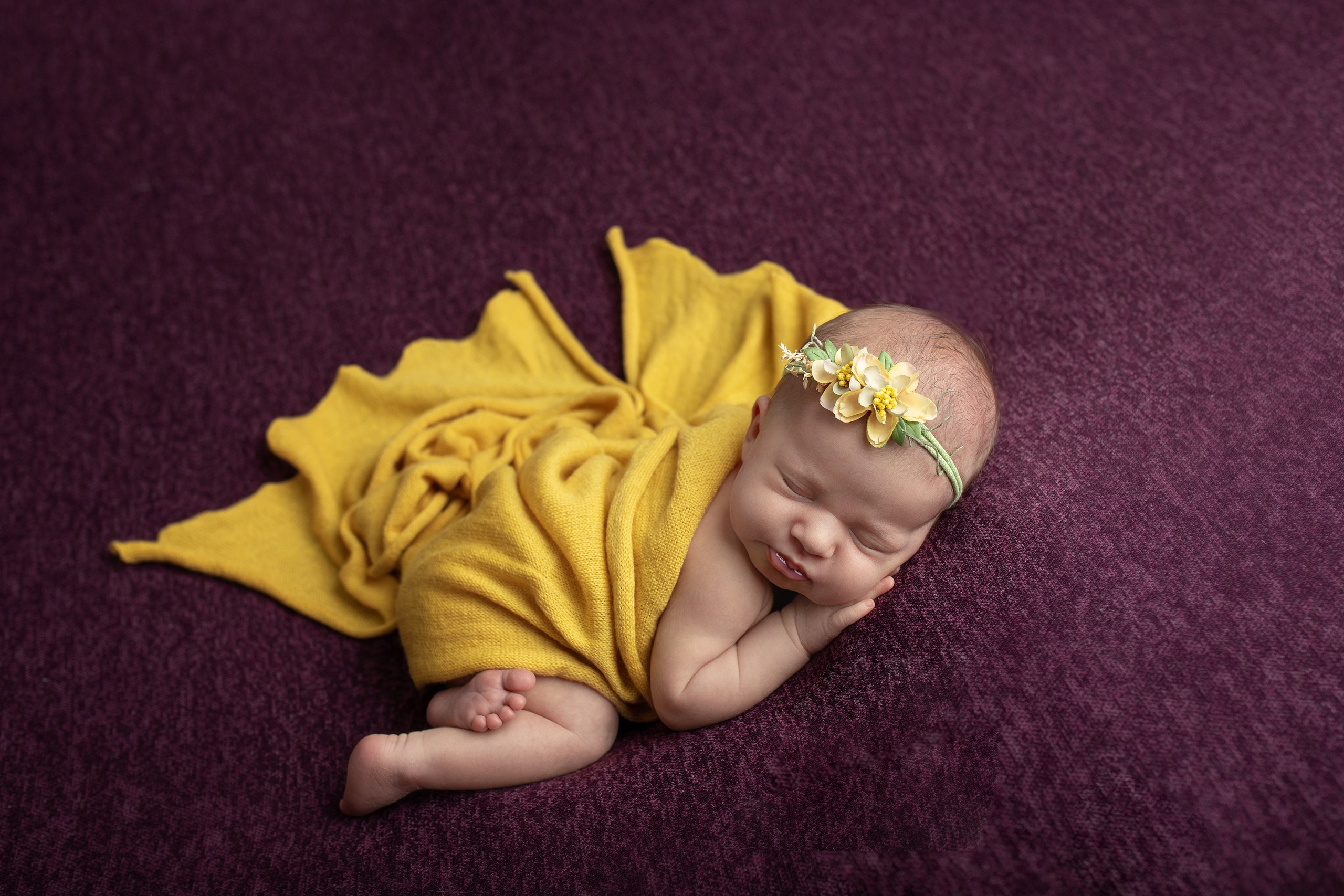 Каталог 4 Newborn. Катерина Шустерман — фотограф Newborn, семейный в Израиле