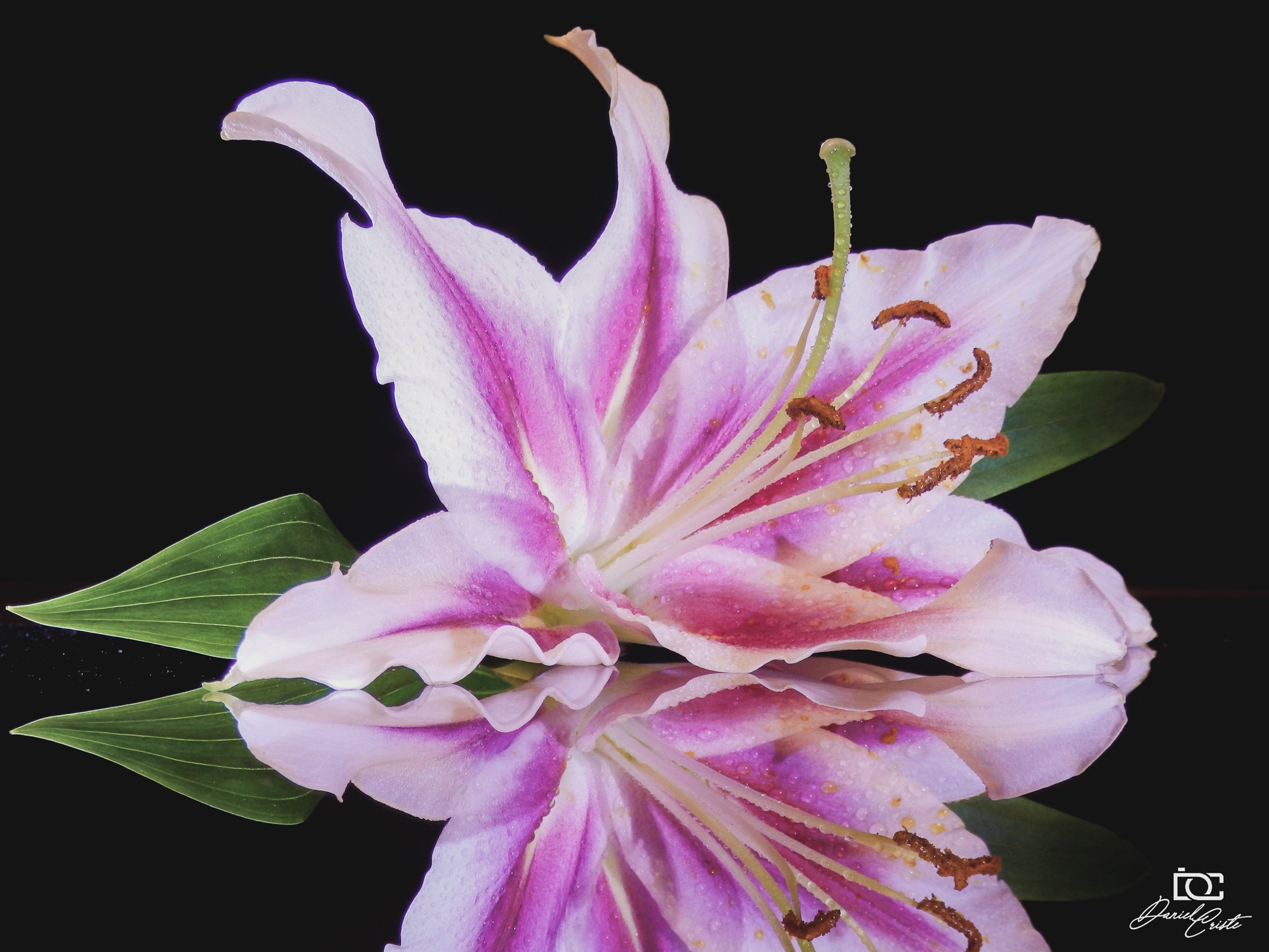 Peisaj /natura. Daniel Criste Fotograf