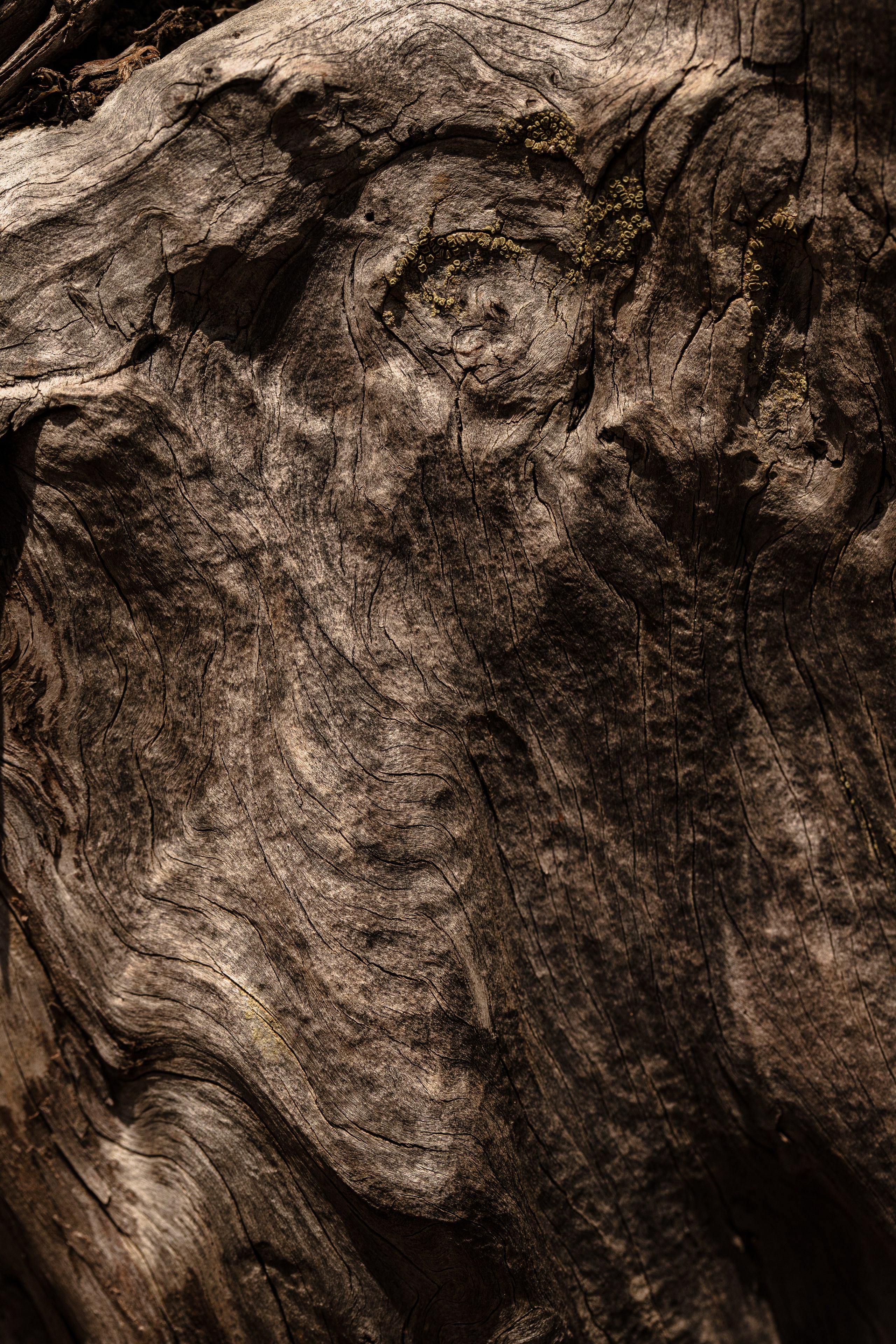 Around the world: Moments. Фотограф и Видеограф | Кишинев, Молдова