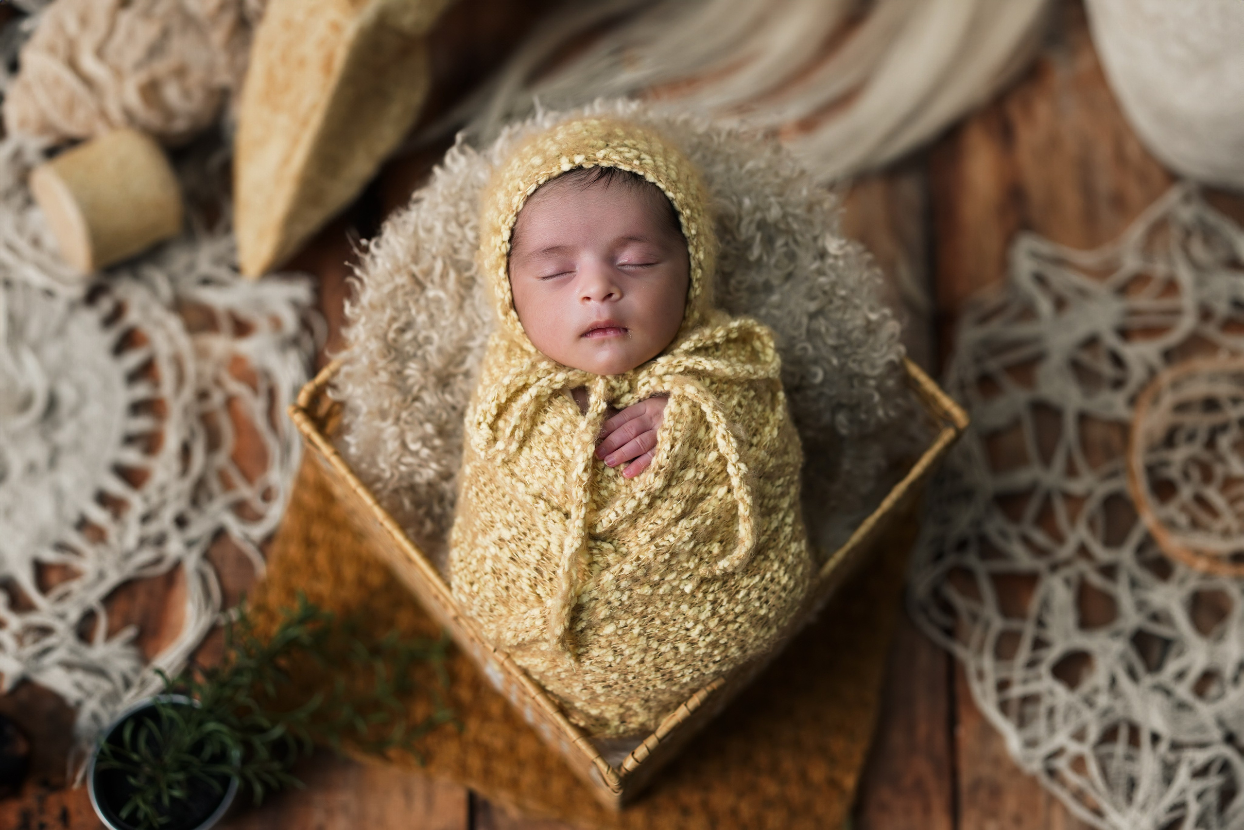 New born. TNF photo & filming