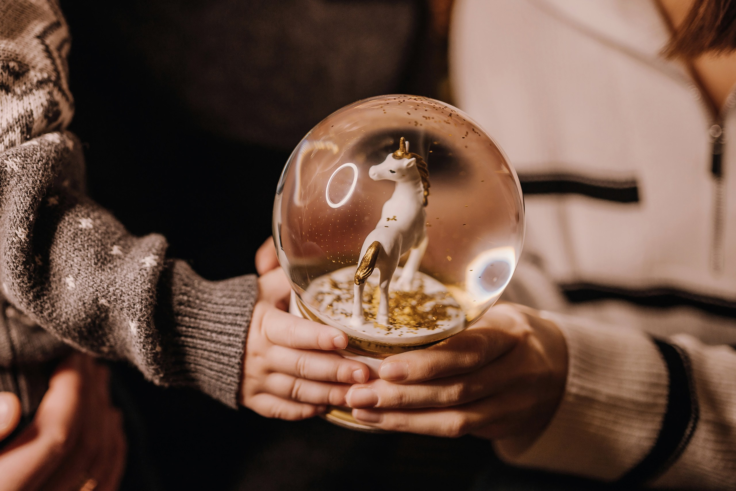 03.12.2023 Christmas Photoshoot. Wedding family event photographer in Chicago Nick Yushevich