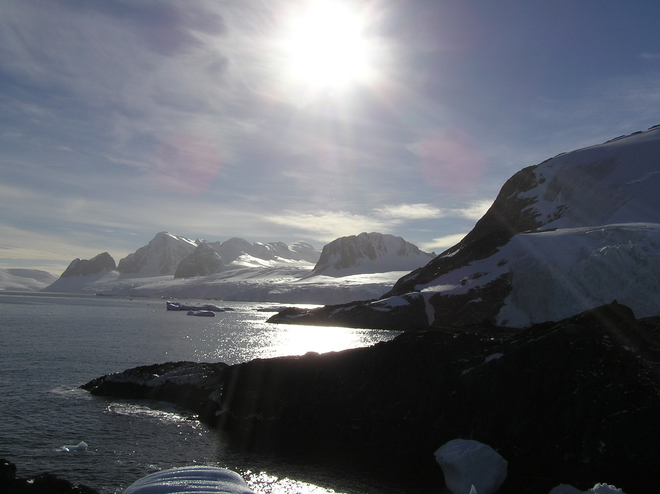 ANTARCTICA. Reportage concert portrait photography in the San Francisco Bay Area