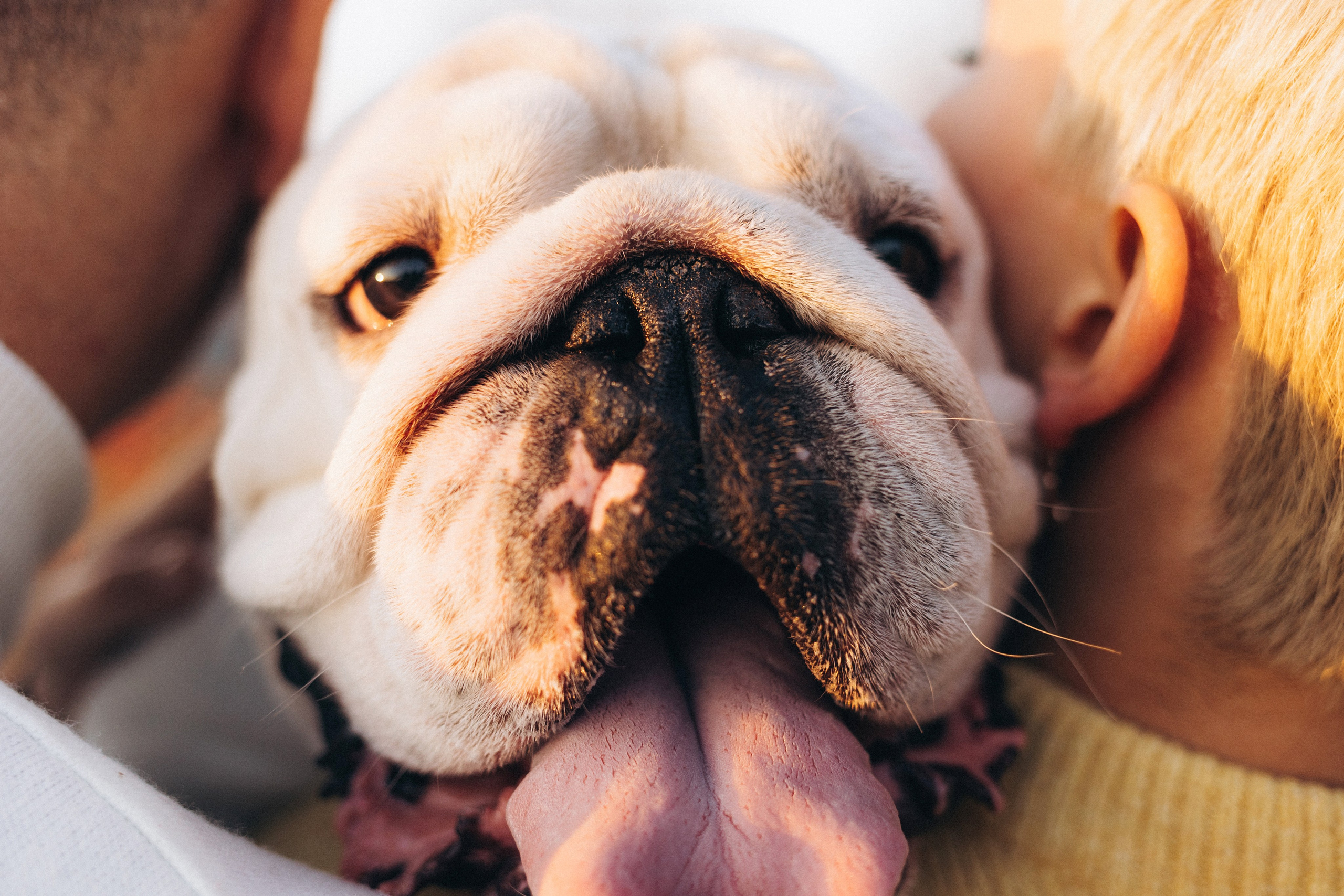 Fira. Семейный фотограф в Кишинёве Пулькина Ольга