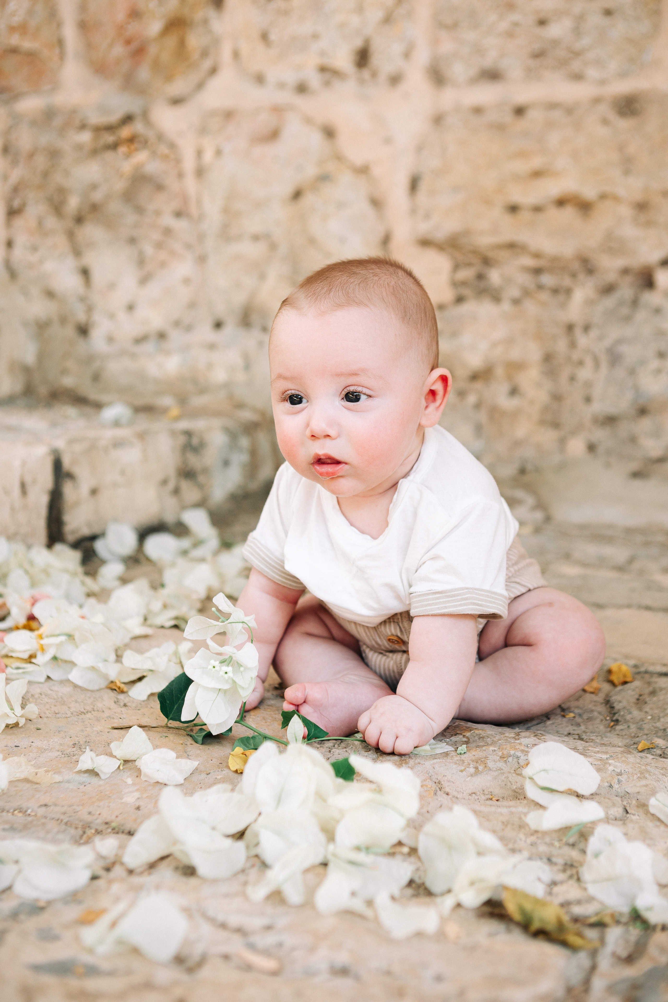 MINI PHOTO SEMMON IN YAMIN MOSHE (MORNING). Https://shi-photo.com/