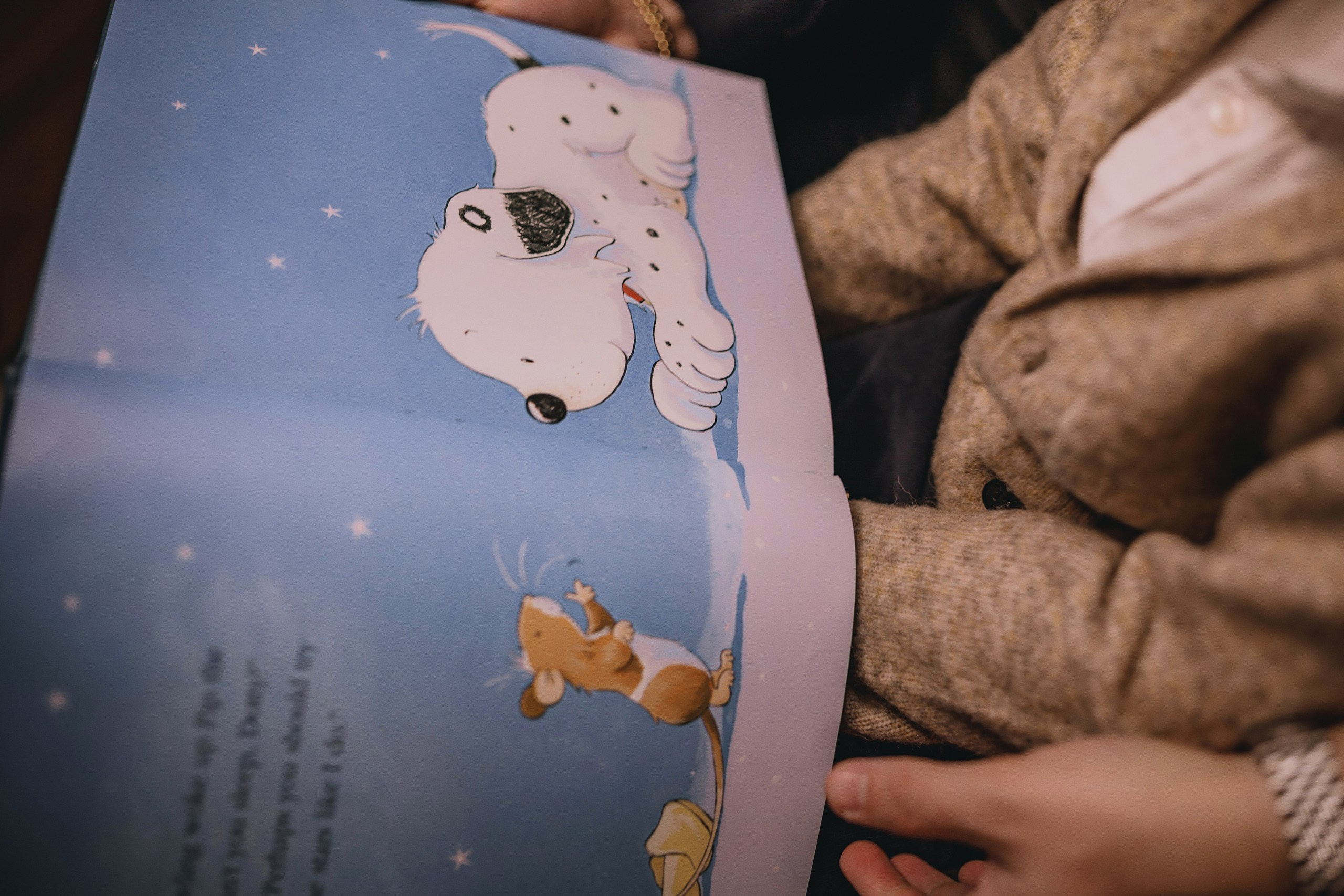 11.16.2025 Christmas Photoshoot. Wedding family event photographer in Chicago Nick Yushevich