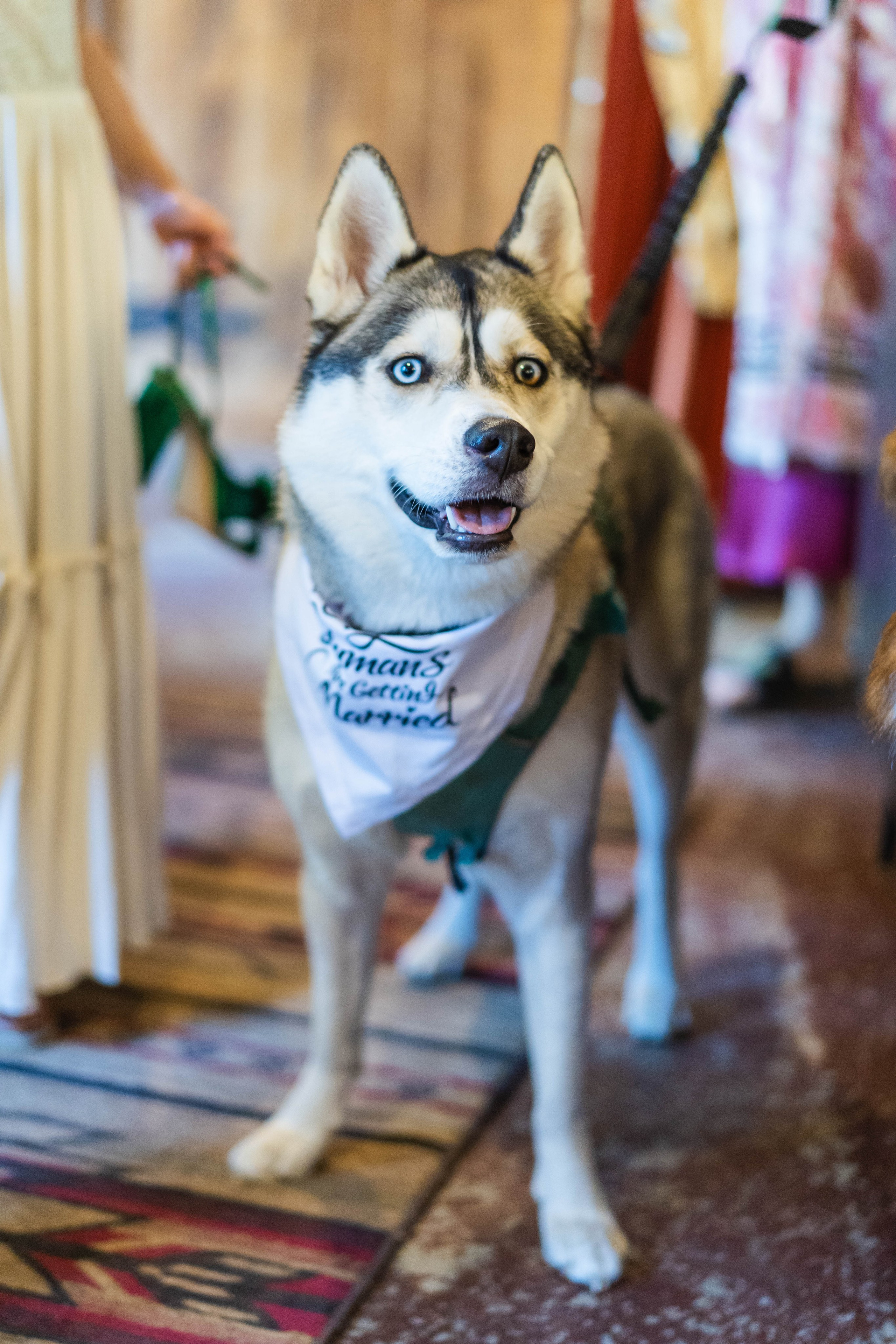 Wedding in forest. Cinematic Wedding & Elopement Photography in Los Angeles | Inspired by Indie Film & Real Life
