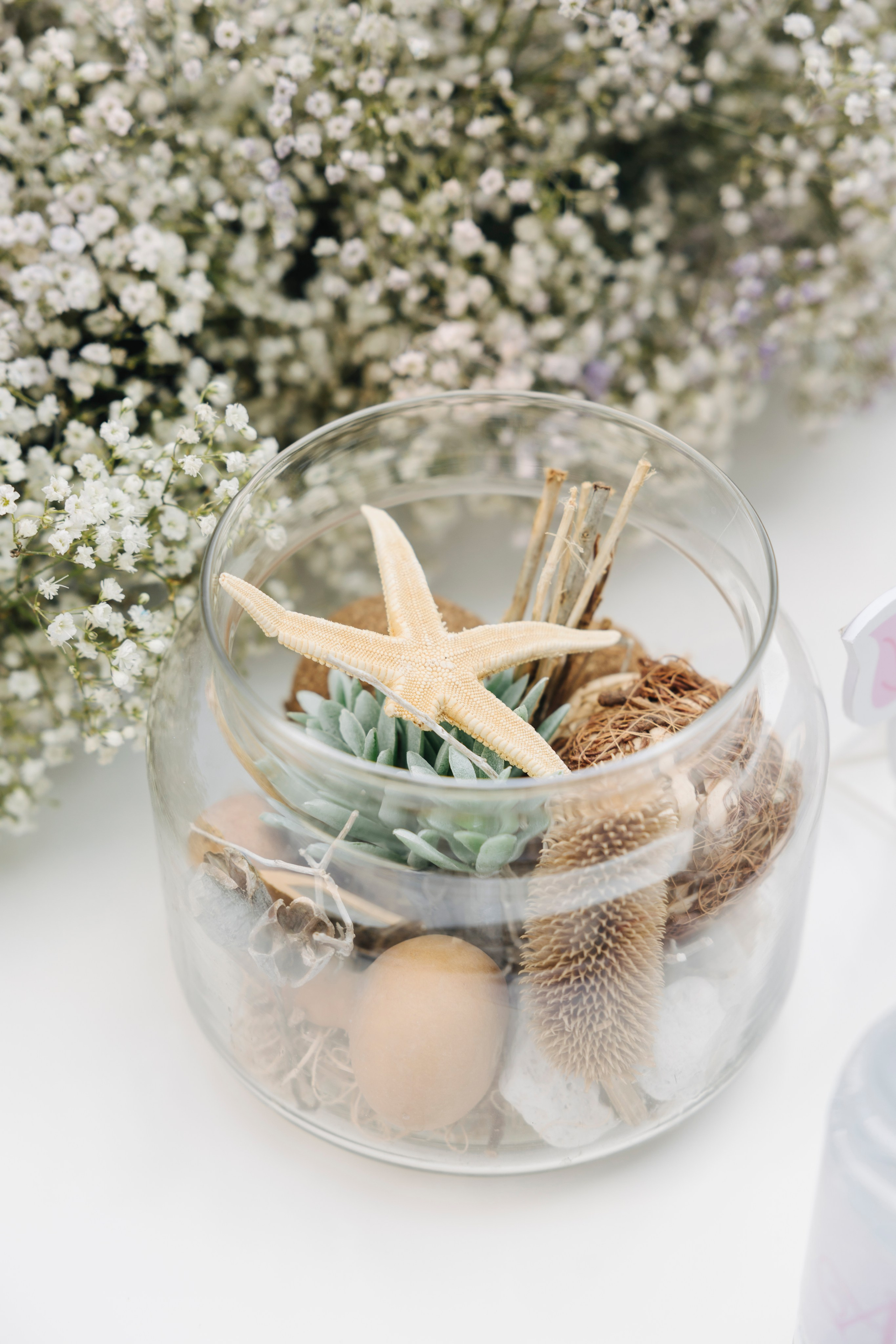 Arya’s 3rd Birthday