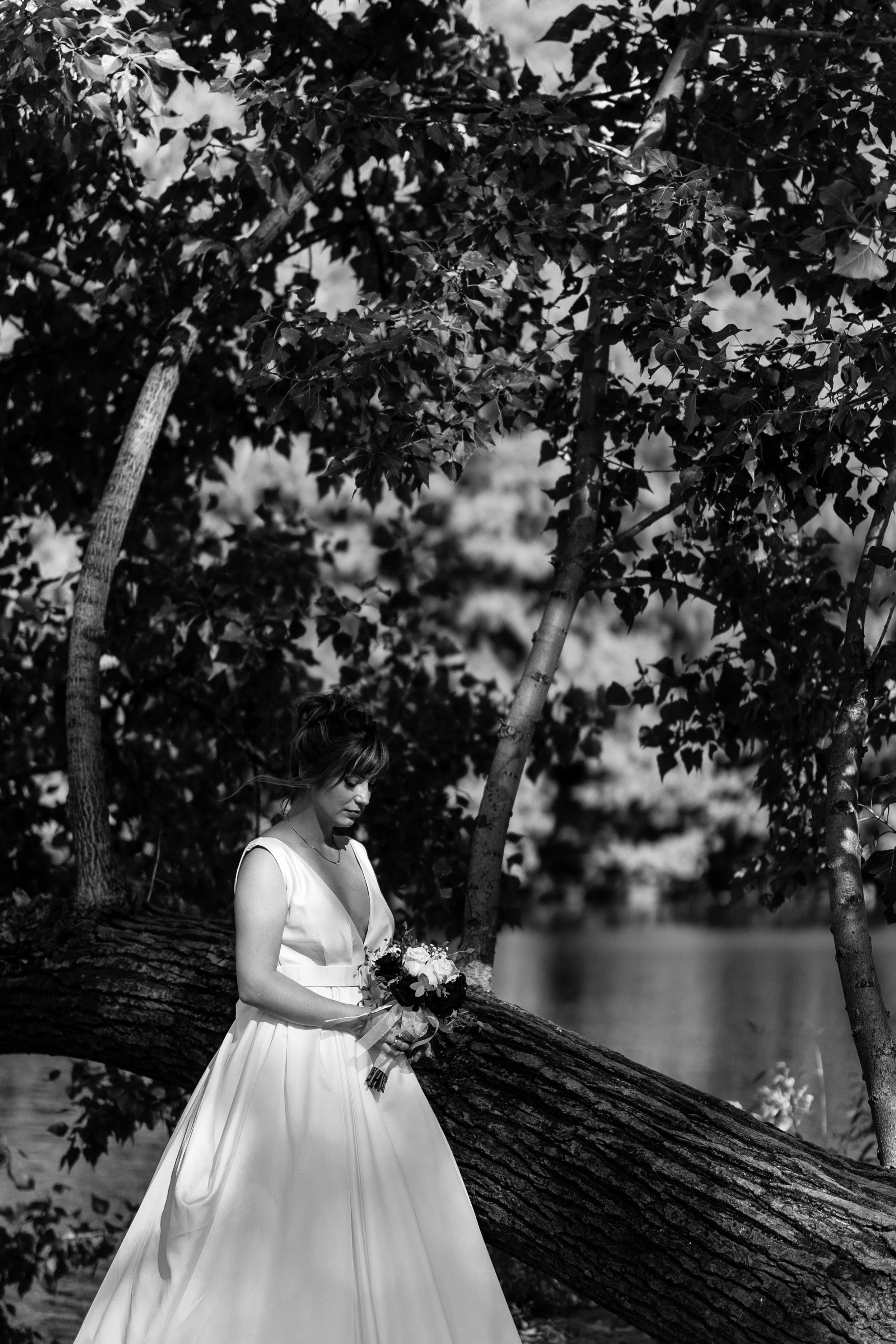 Photography. Alexandar weddings: Home