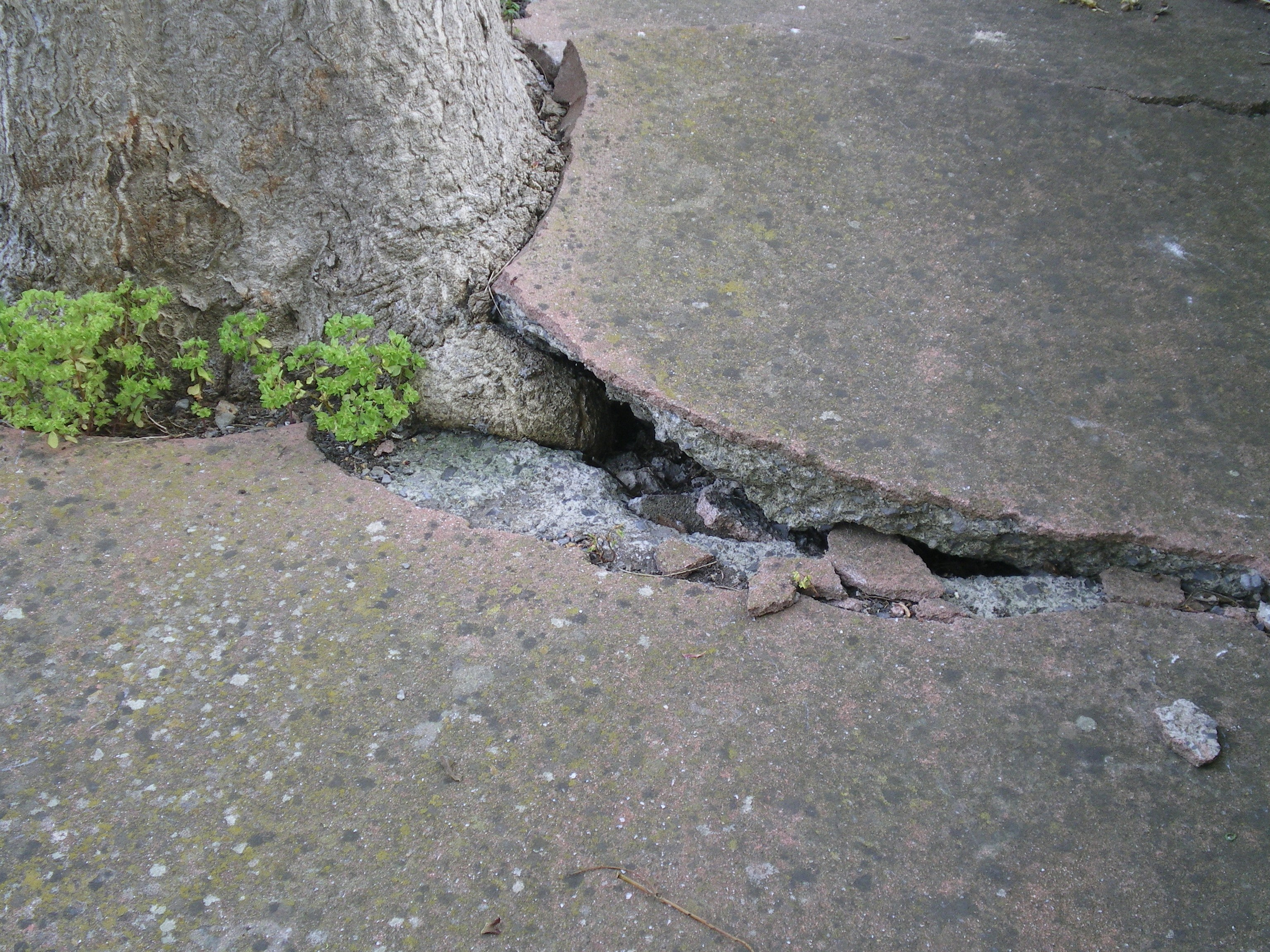 Ode to istanbul. Daria Sukhikh | Photography