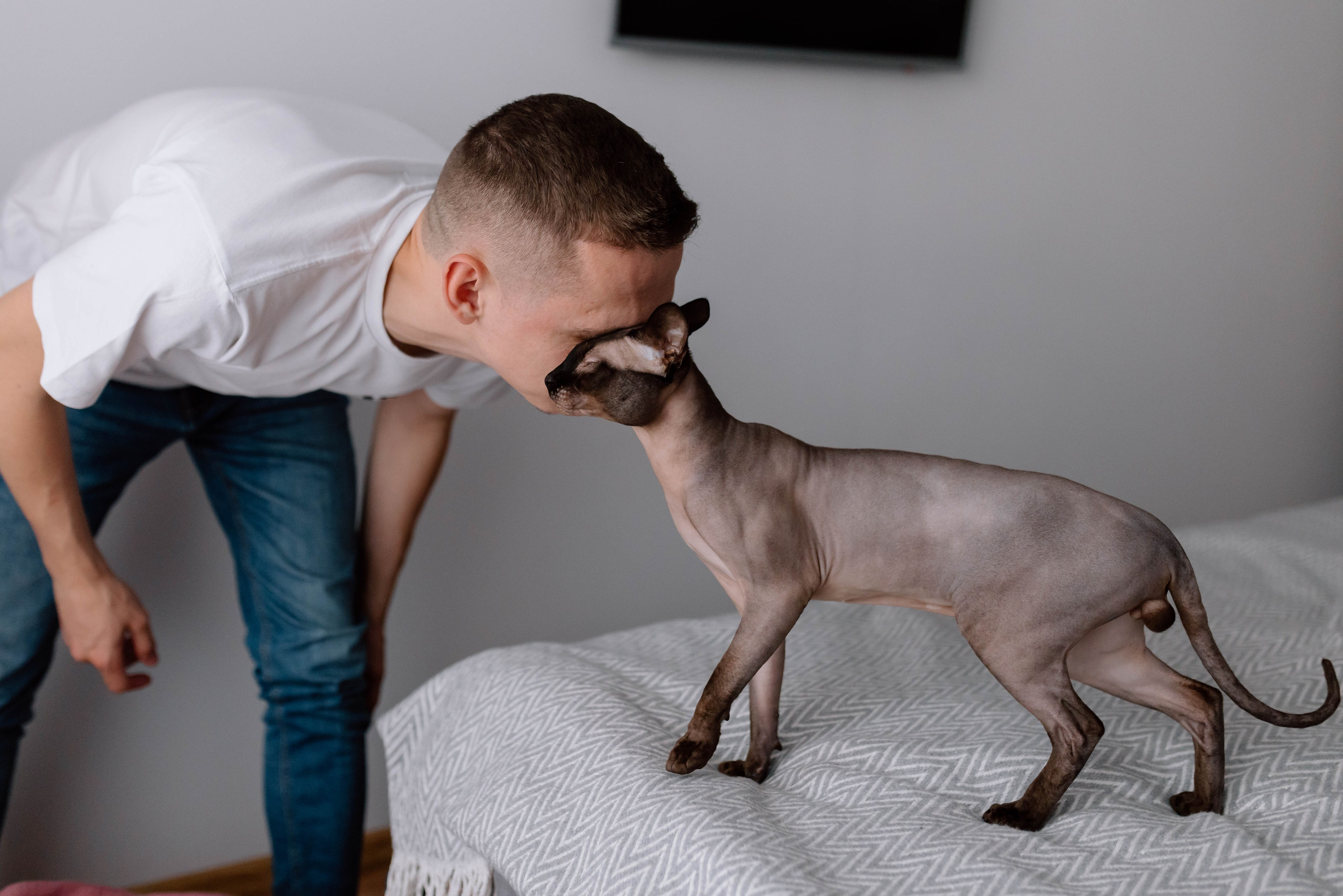 Anastasia — Newborn. Main