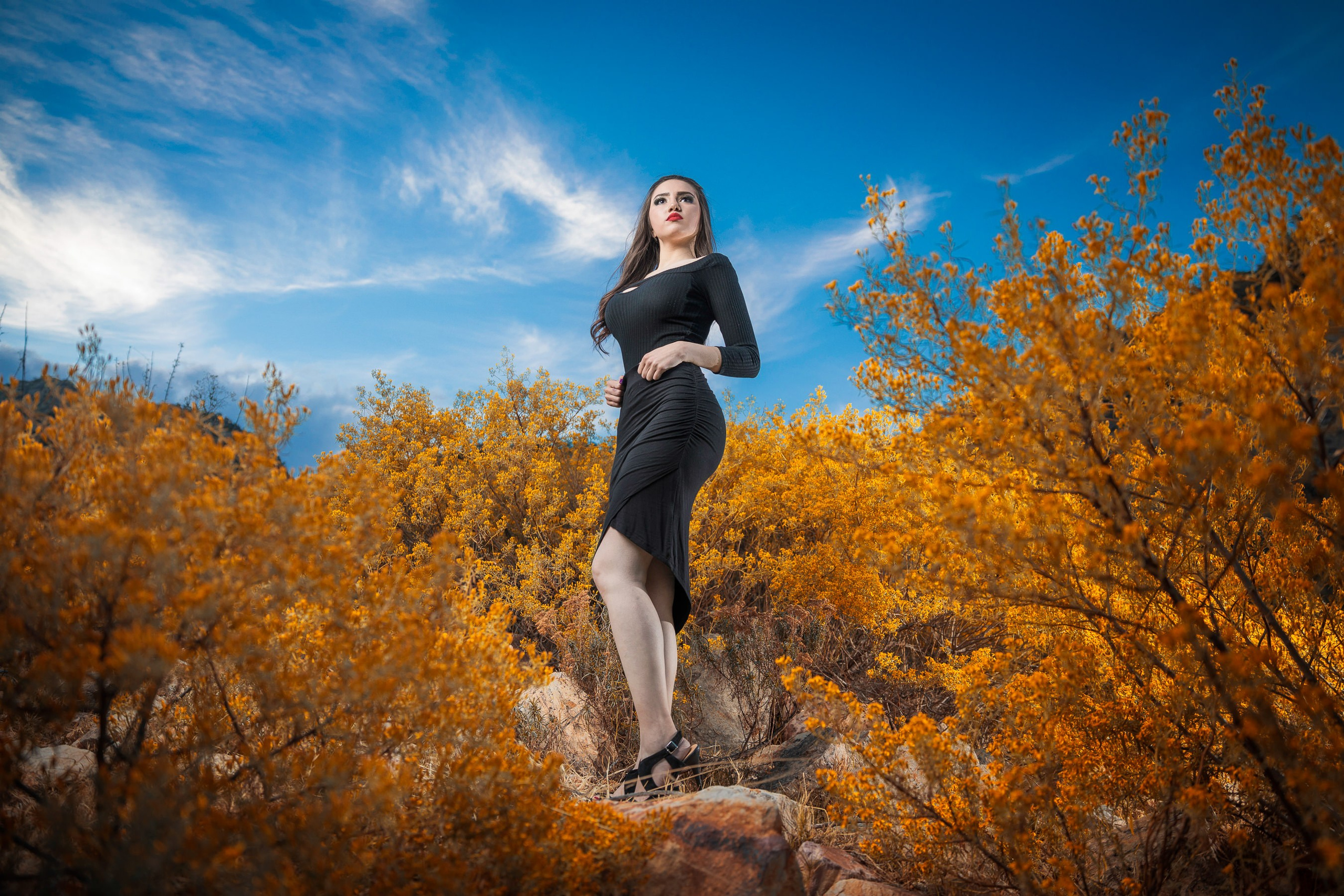 Portraits. Professional Photographer in Chihuahua, Mexico — Alex Mendoza