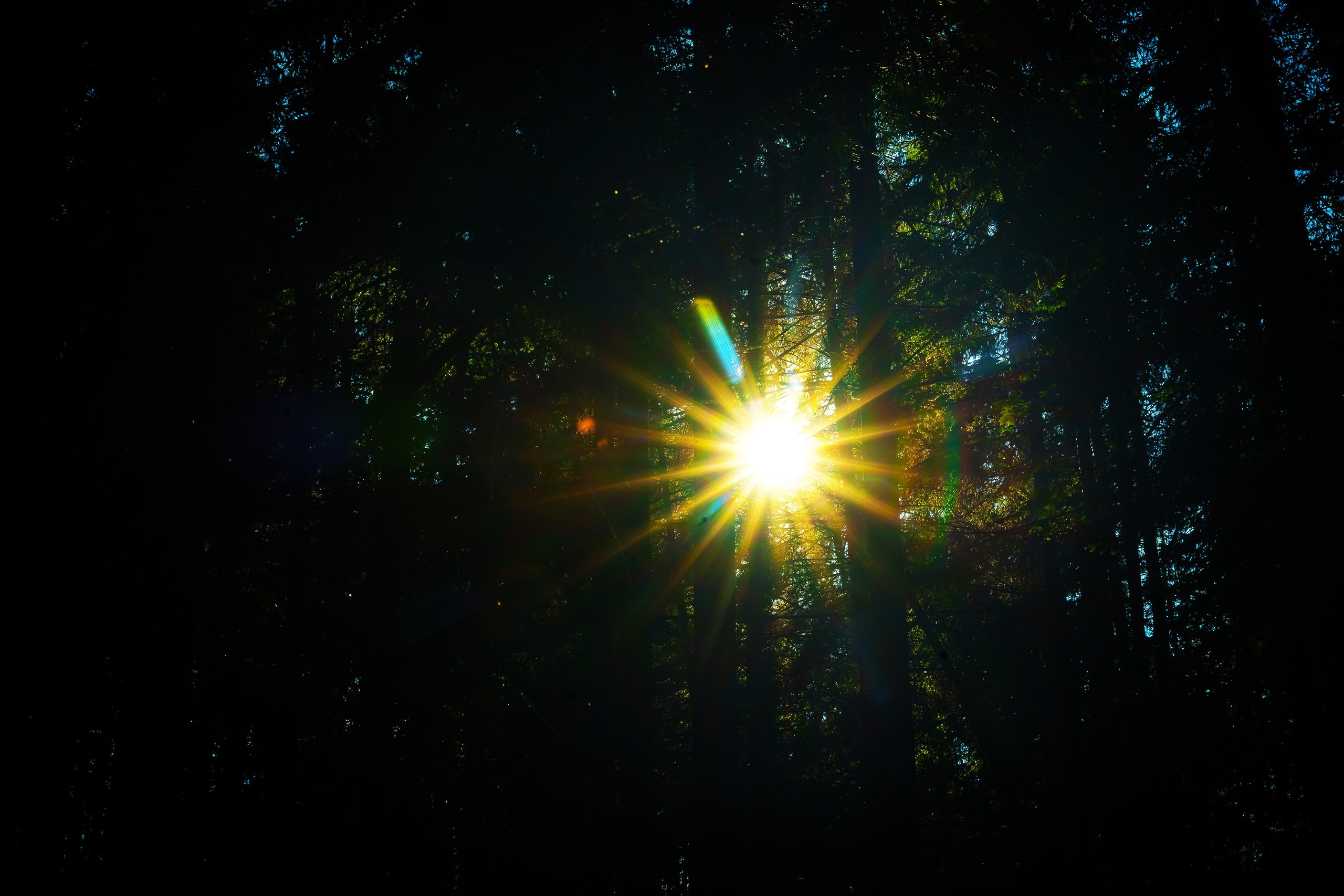 Roxana & Bogdan — Wedding. Marius Doban