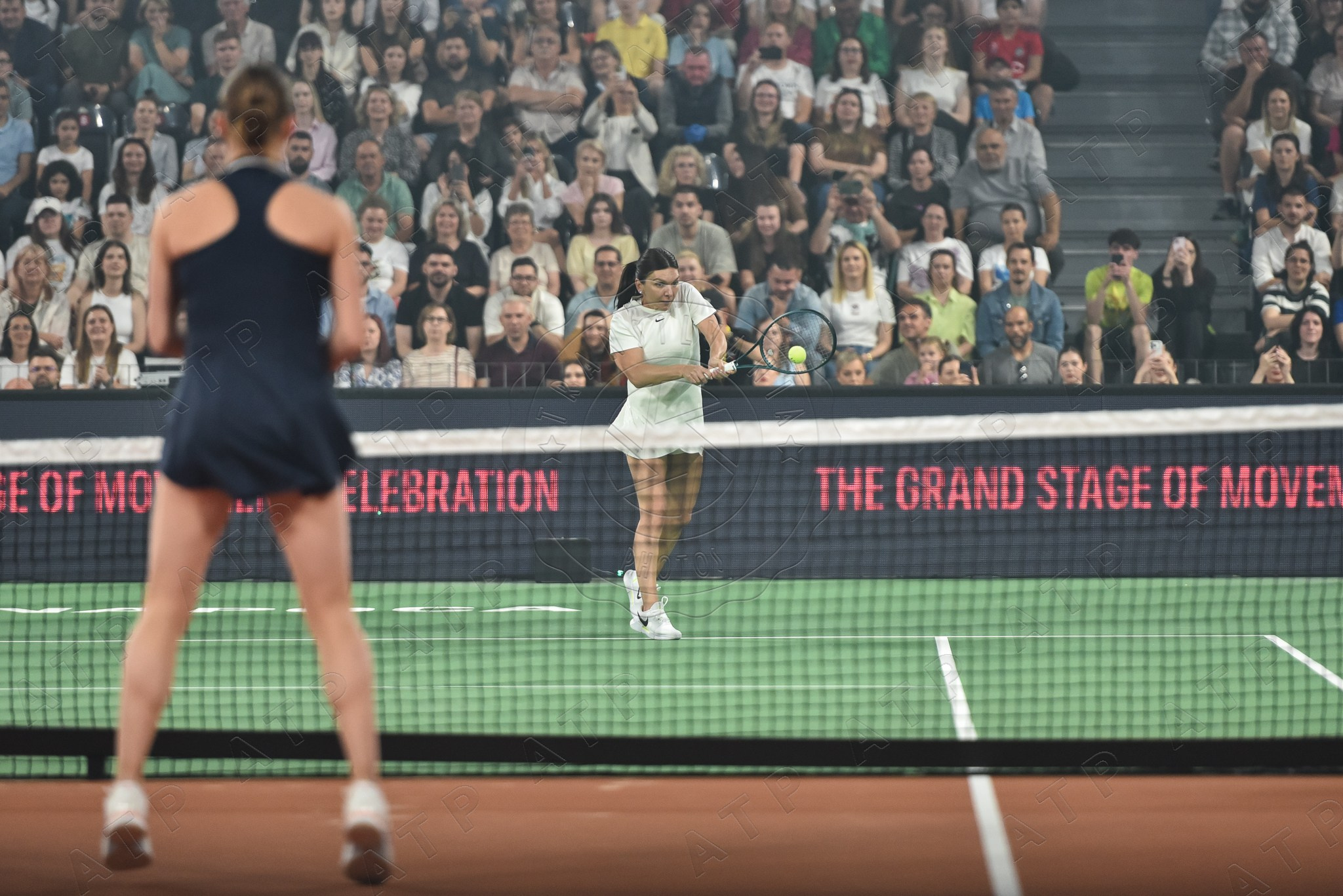 Tenis. Vescan Pictures - fotografie de eveniment