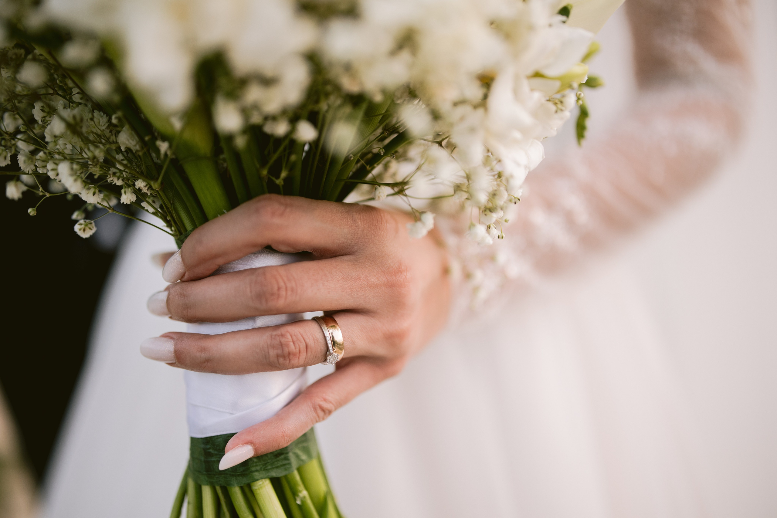 Portofoliu Fotograf Nunta Tulcea — Selectii | Codux. Codux — Fotograf Tulcea | Fotograf Evenimente