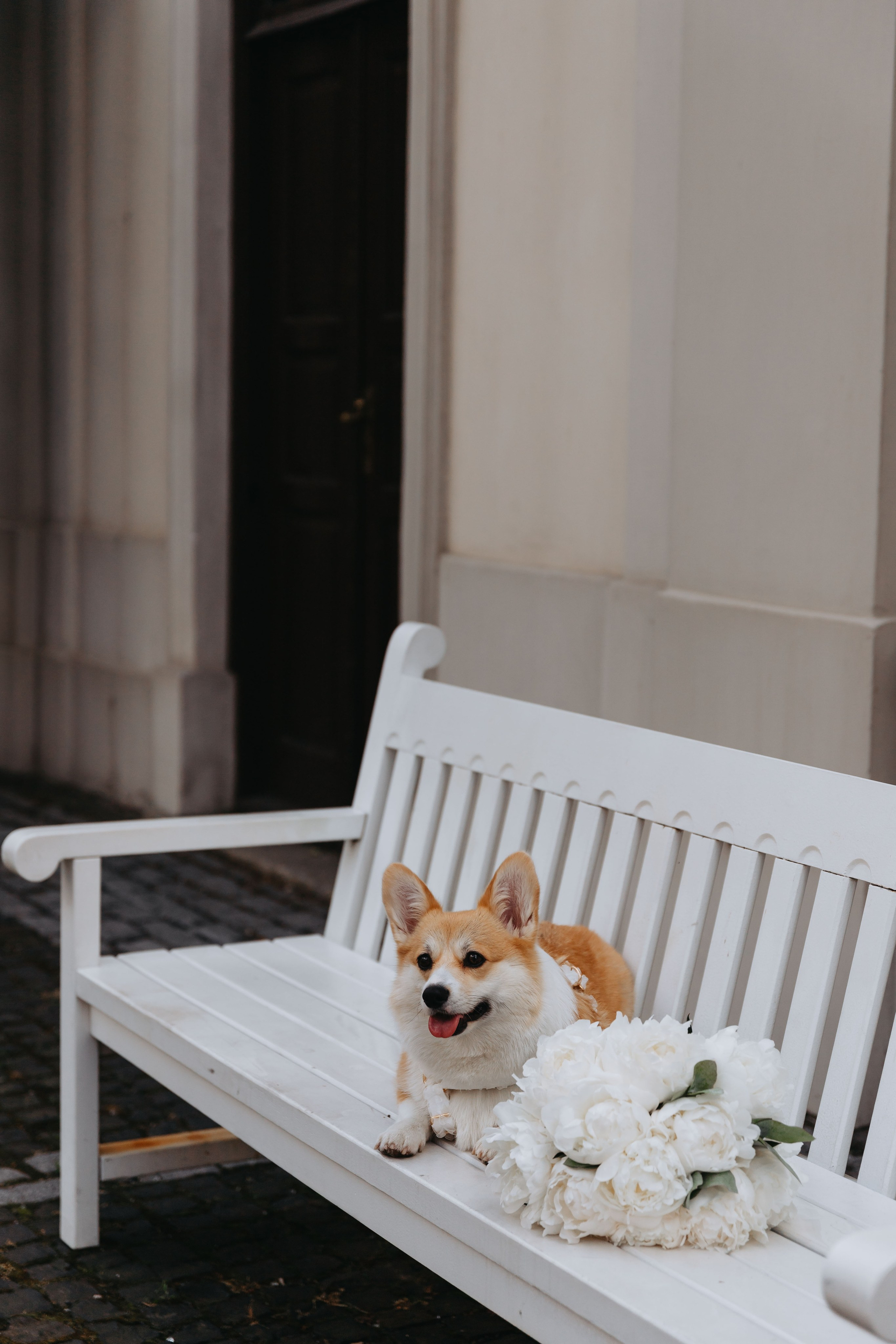 Julia&Mikołaj wedding day