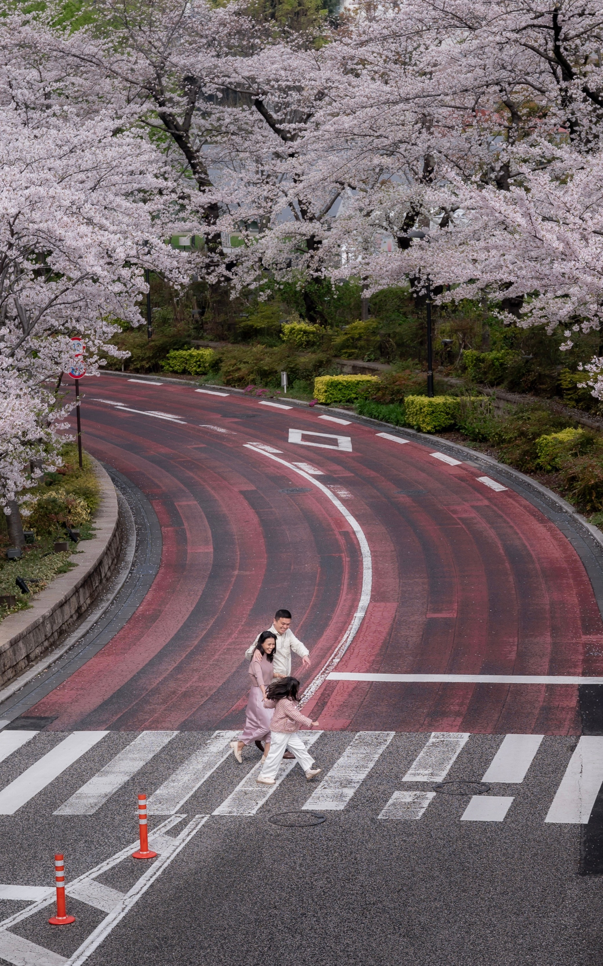 Семейные. Семейный фотограф в Москве