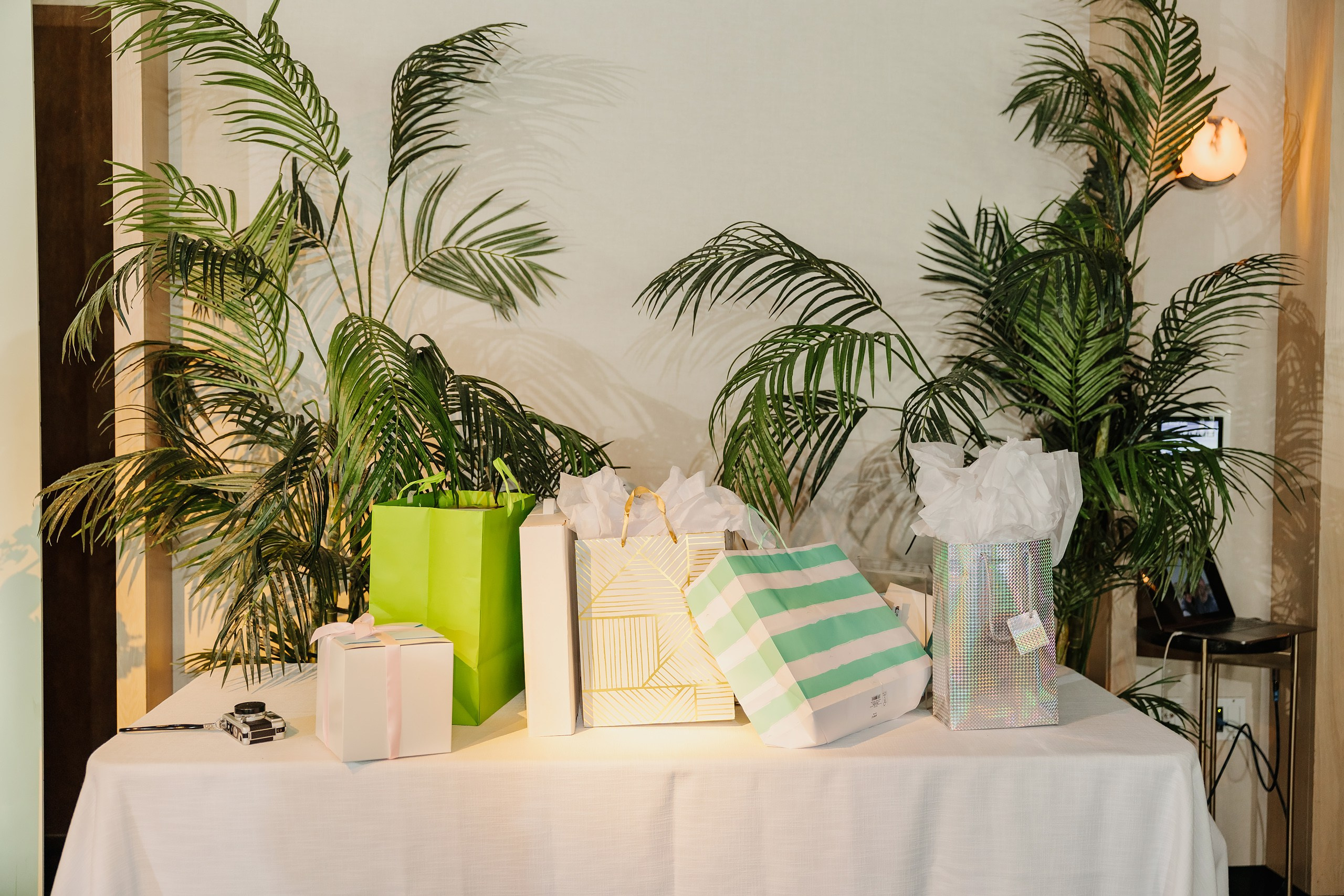 06.16.2024 Engagement Party. Wedding family event photographer in Chicago Nick Yushevich