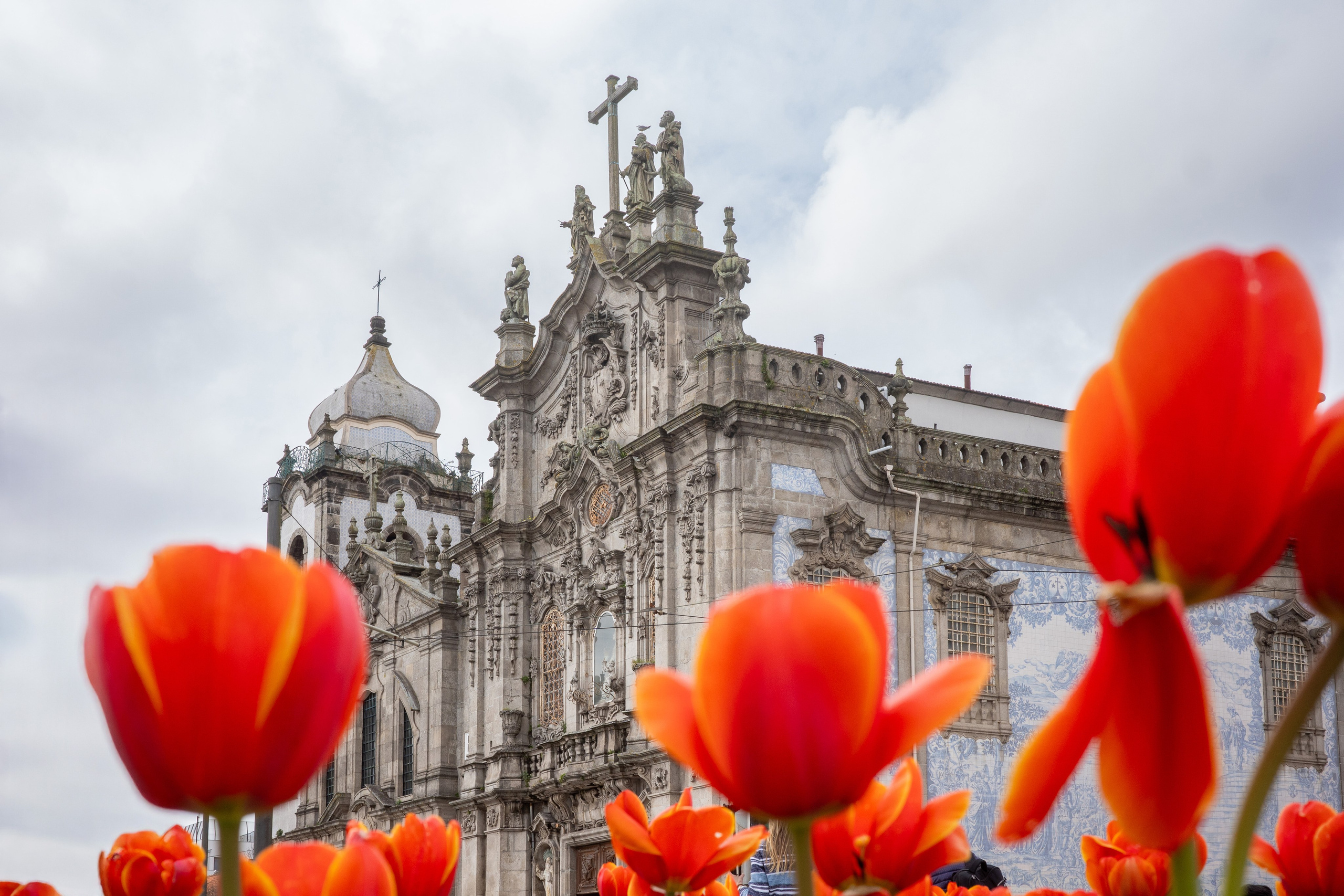 Работы Марии Шер. Sher.SCHOOL