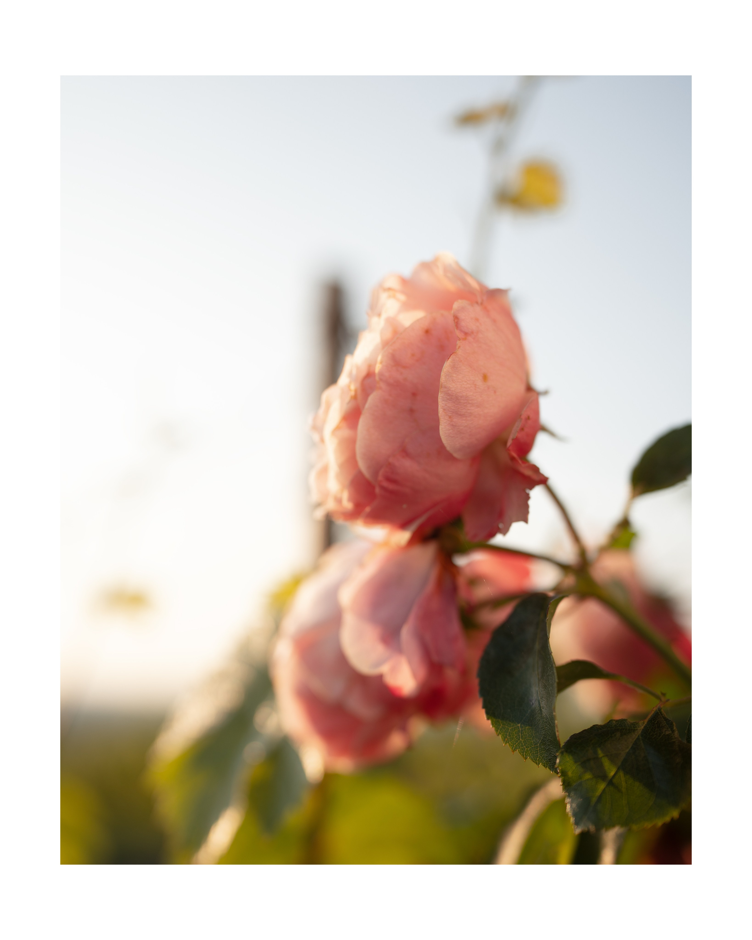 Travel. Visual artist | Fotograf | Stuttgart