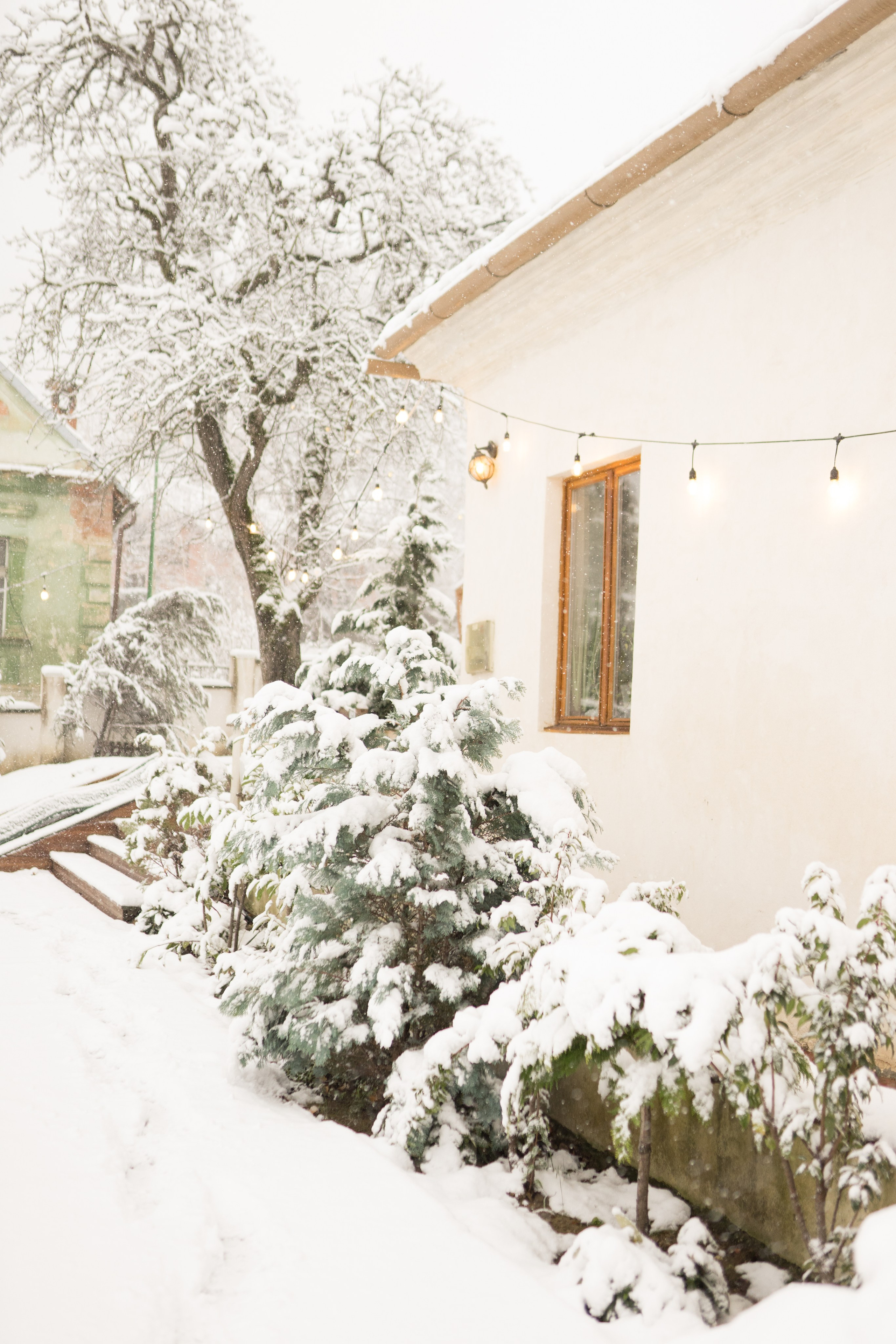 Fotografie de Eveniment Brașov: Povești Vizuale | Mădălina Beda. Madalina Beda- Artist vizual, fotograf, doula la nastere, consultant babywearing Brasov si in toata tara