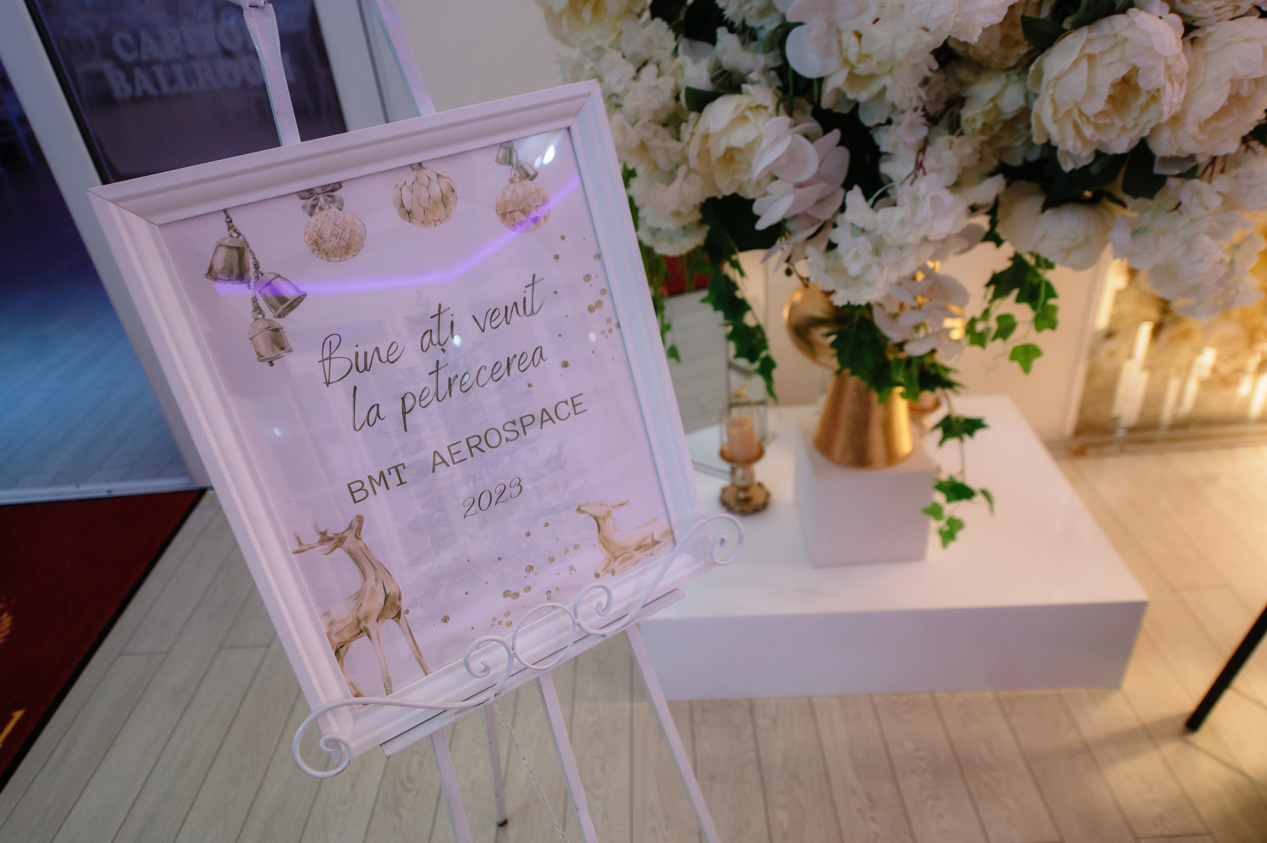 BMT Aerospace Party. Laurentiu Stefan StoryTeller