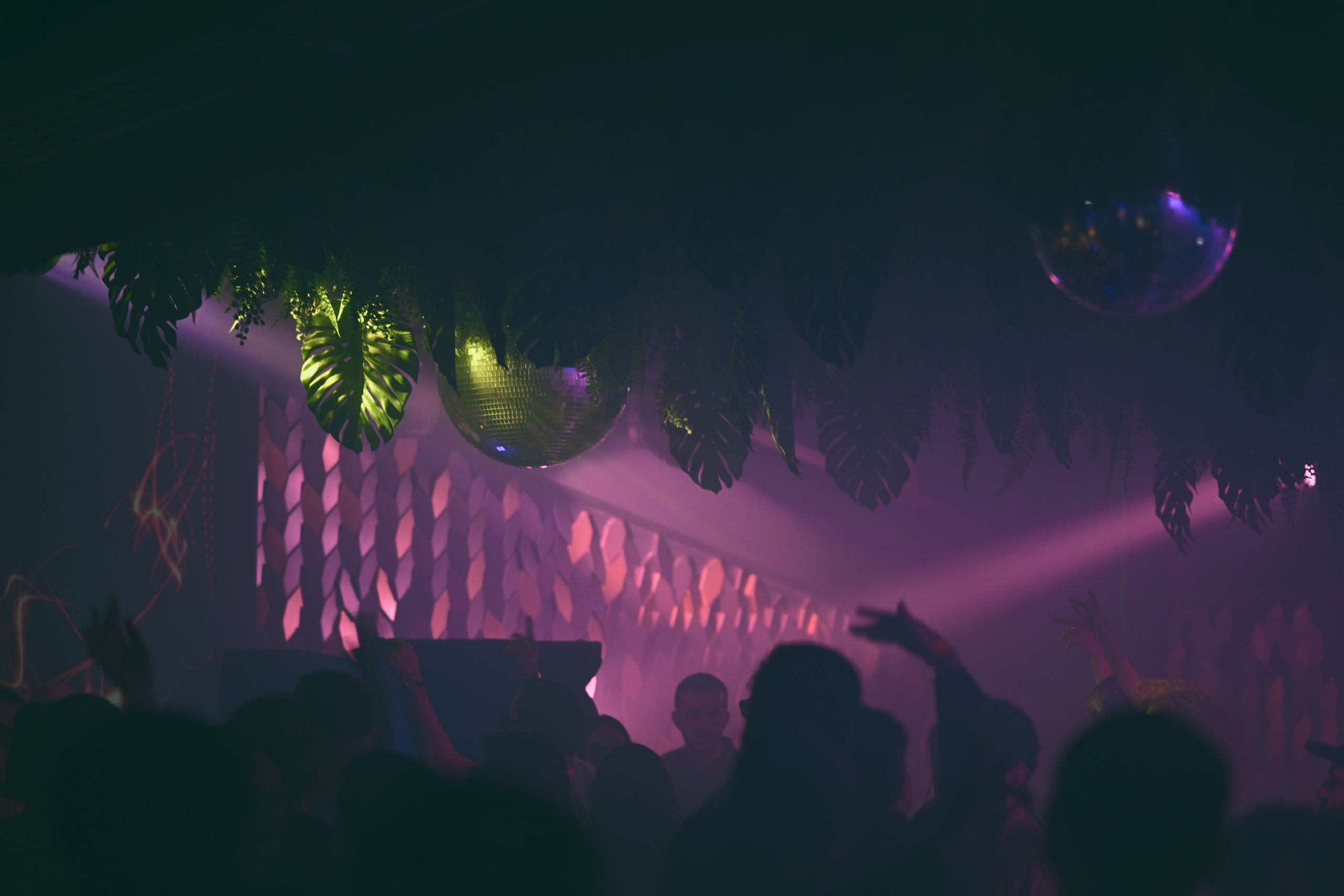 Event. Photographer vakho