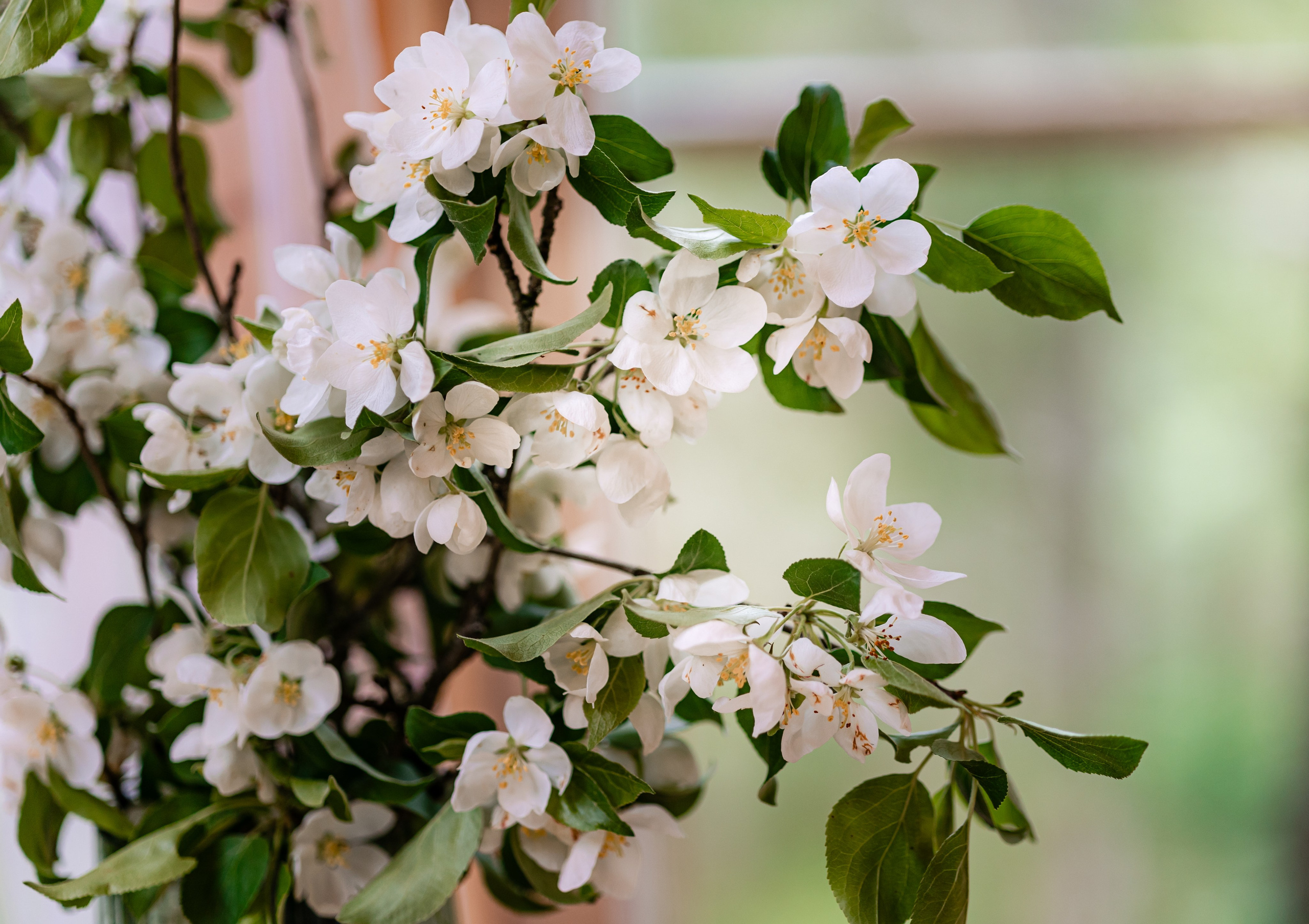 Adrija & Vladislavs, Latvia. June, 2022. Timeless Wedding & Event Photography — based London, working across Europe