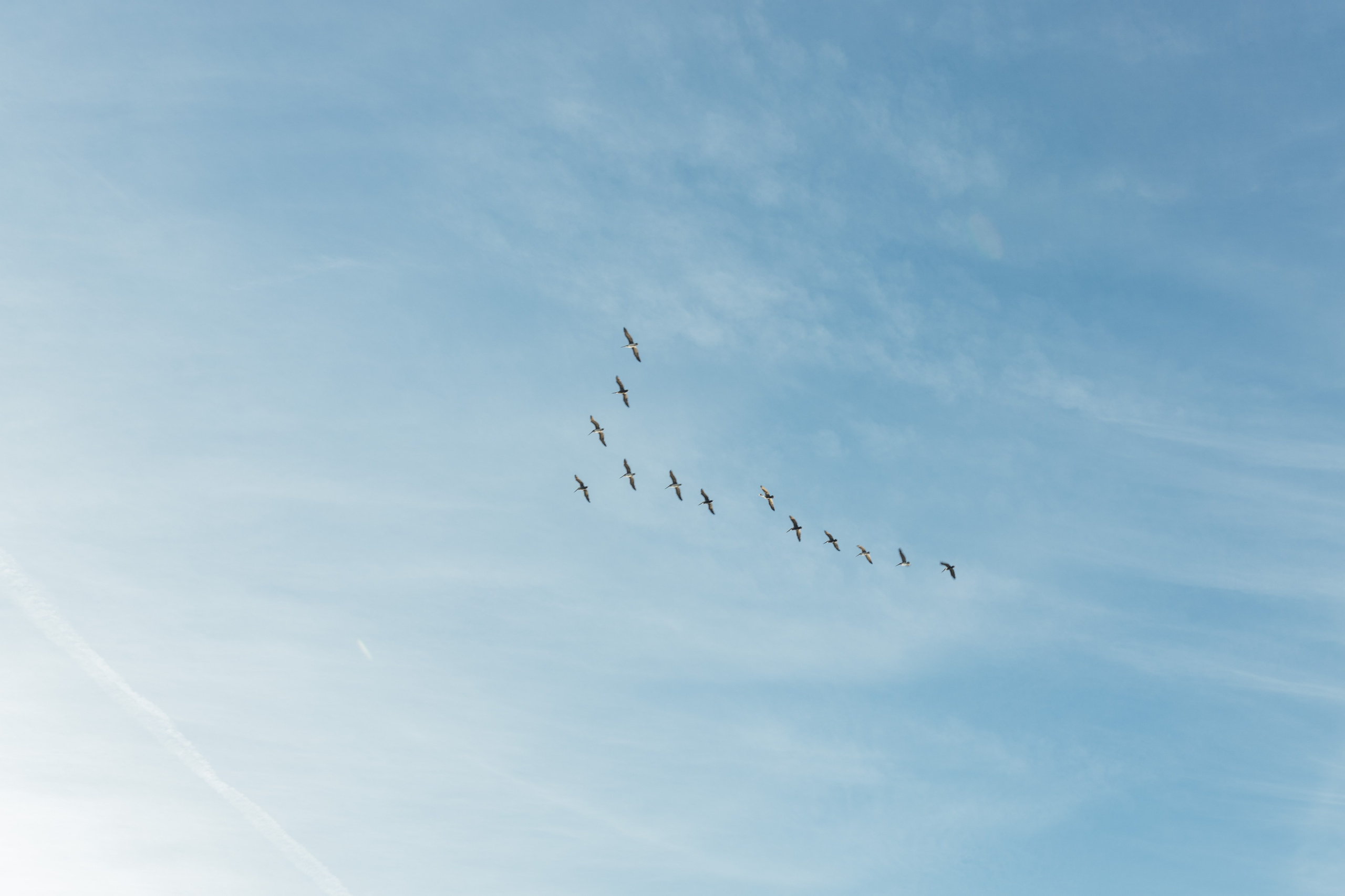 Golden Gates Memories. Maternity, newborn photographer in the Bay Area|Iryna Rakivnenko