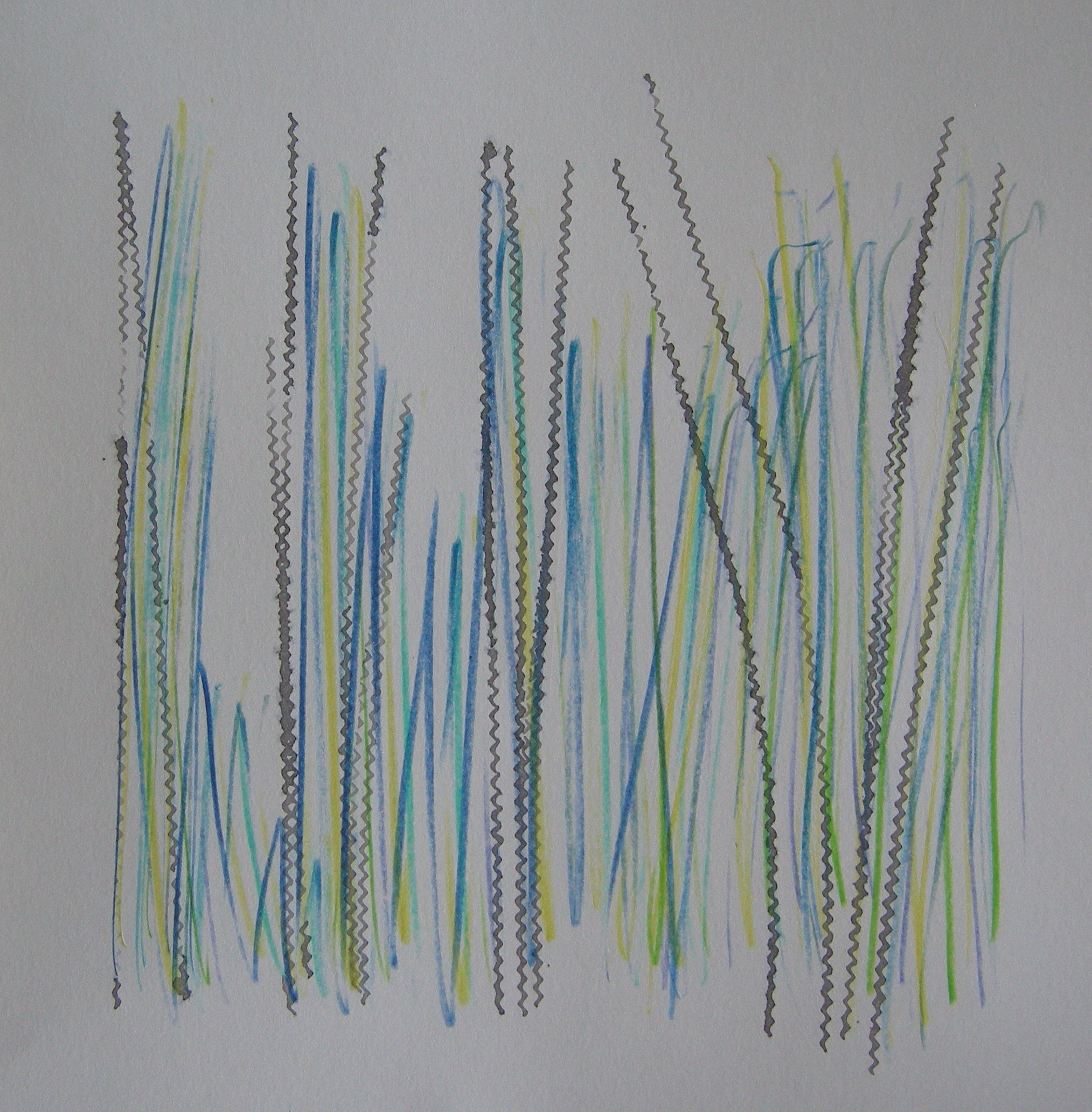 O.T. 2024 - 30x30