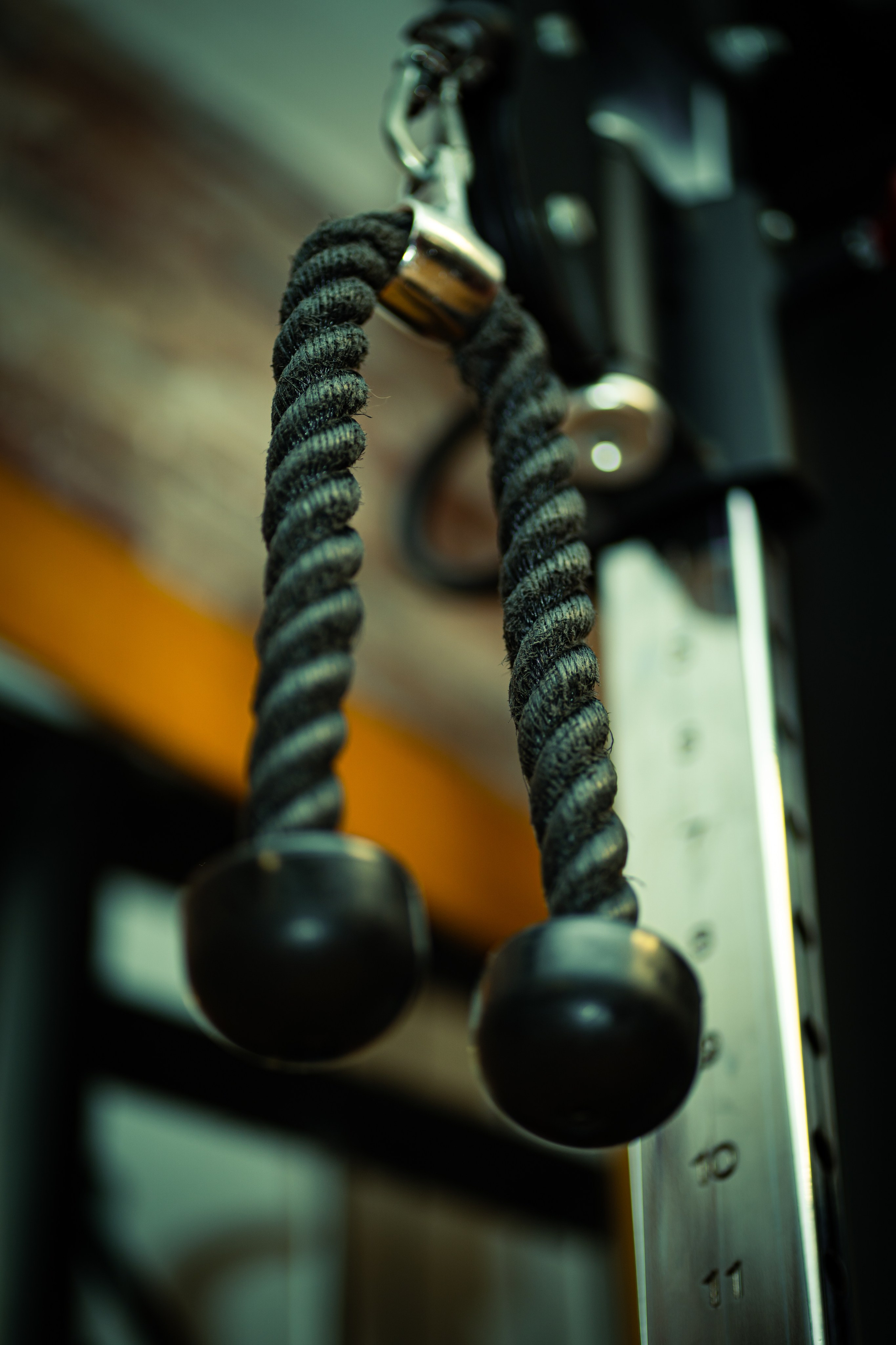 ABEL´S TEAM. Baby Beast