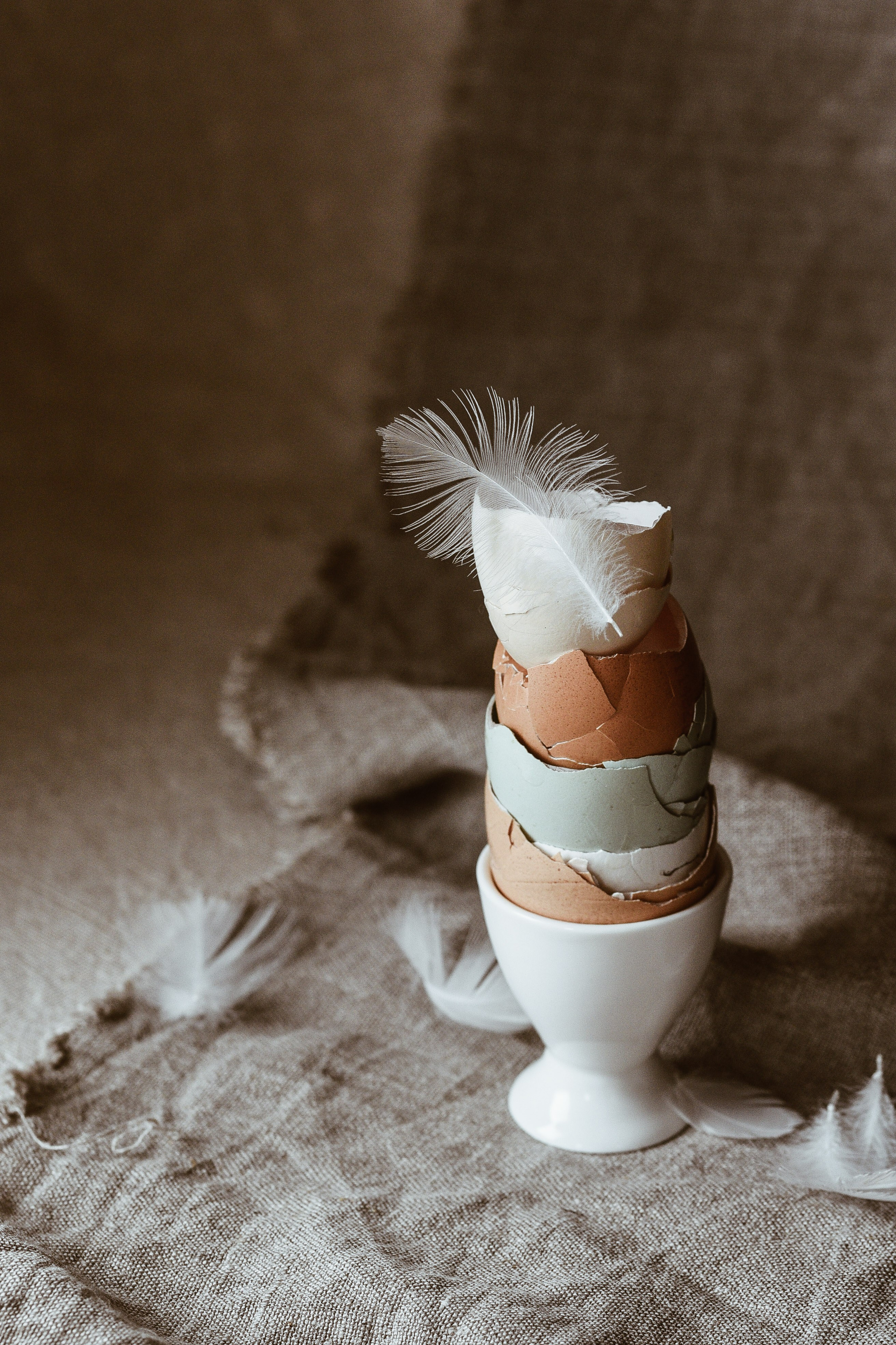 Ei. Familienfotografin aus Sterzing Elena Muehlsteiger