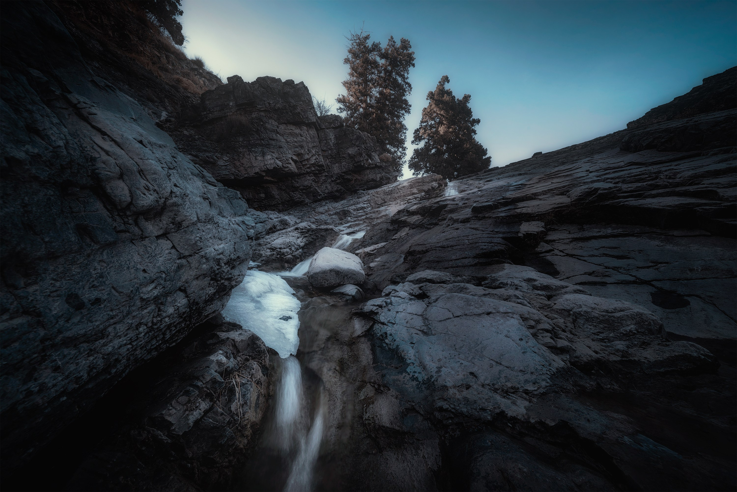 Amirhamzeh Mashayekhi Photographer