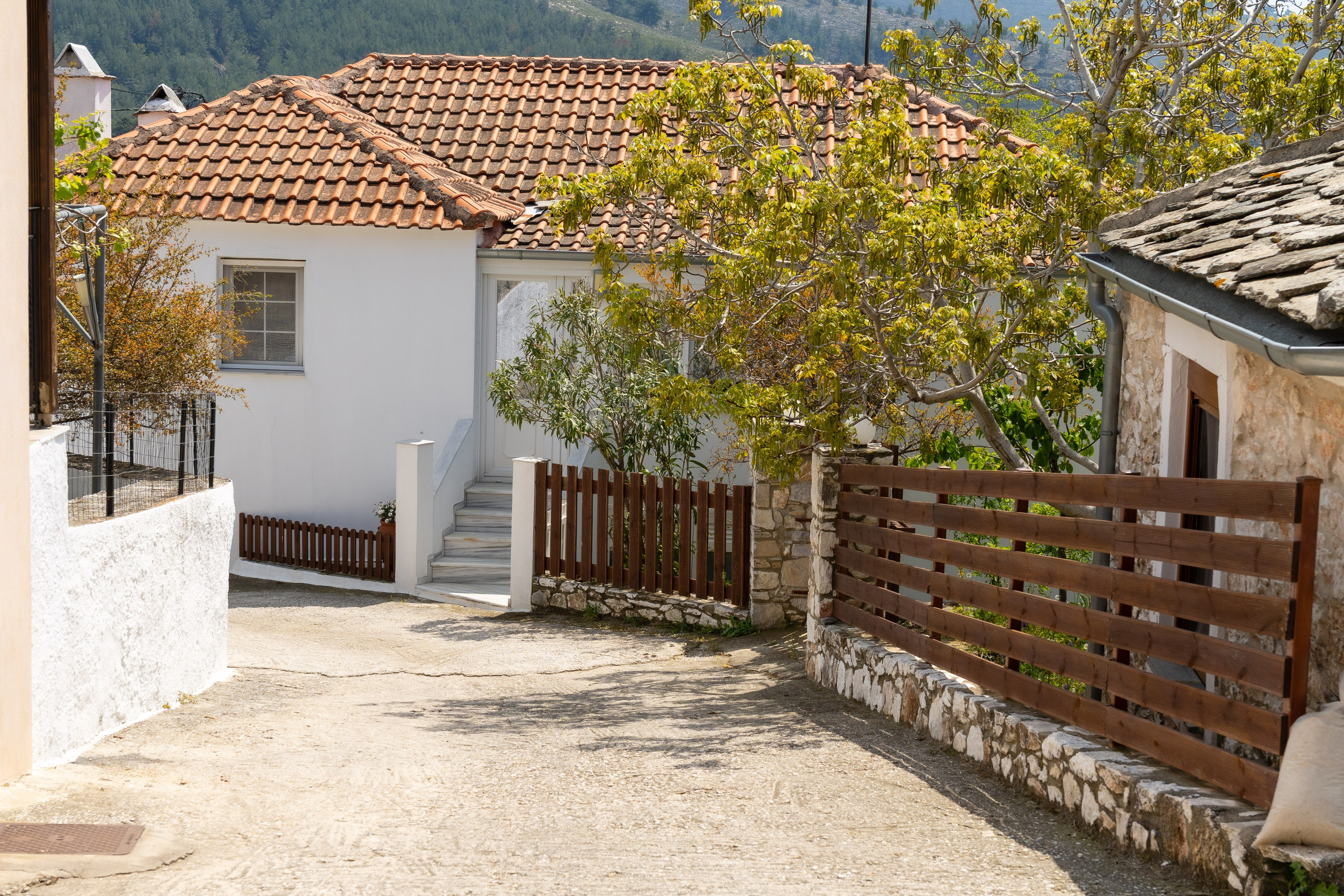 Thasos 2025. Fotografiideplacere.net