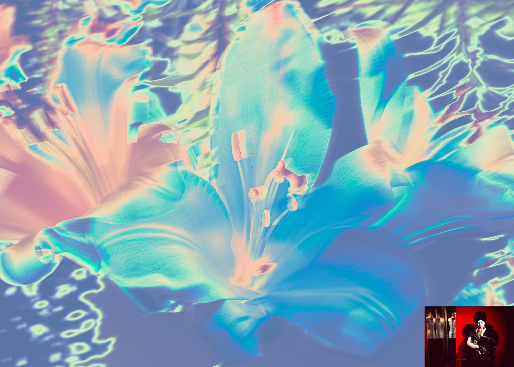 Portraits of Park Residents. Ekaterina Tsurkina-Appina Photography Canada