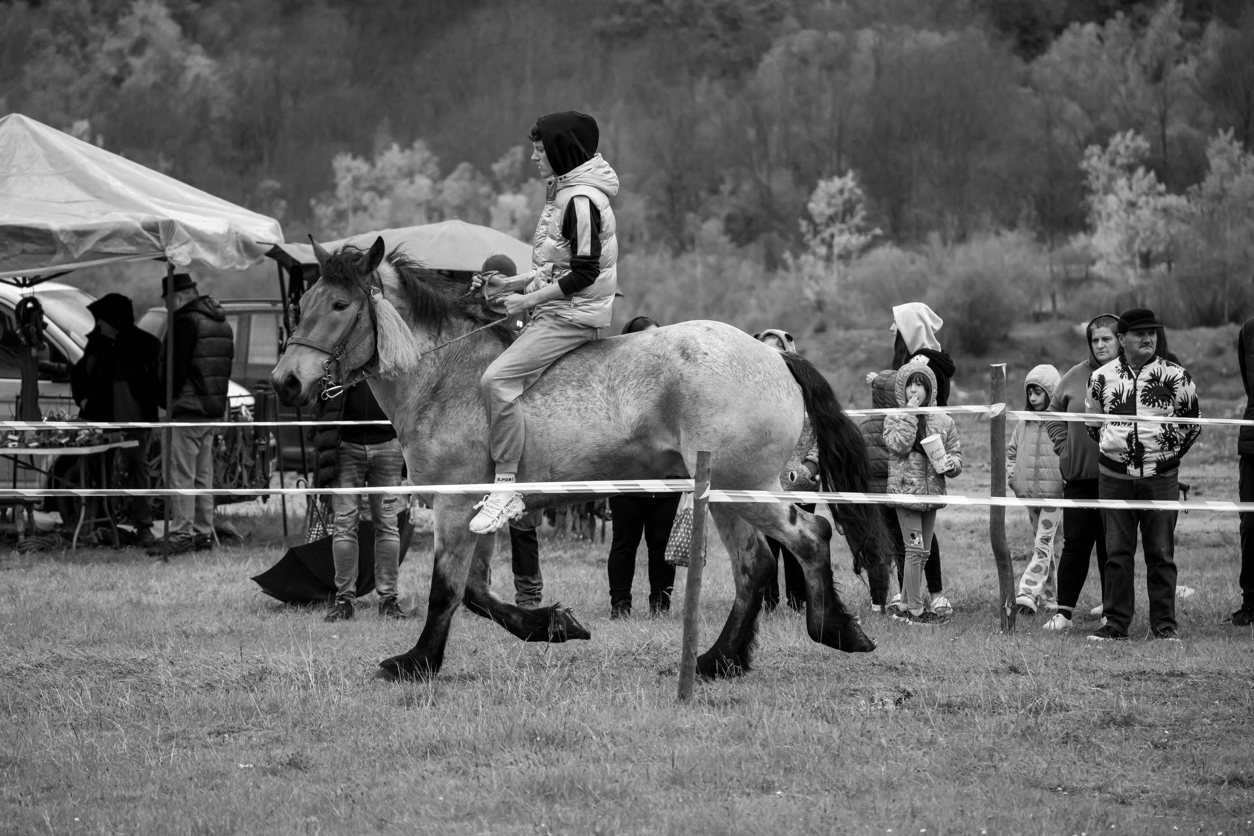 Concurs Ecvestru Vărbilău ediția a 4-a. Mihai Alexandra Events
