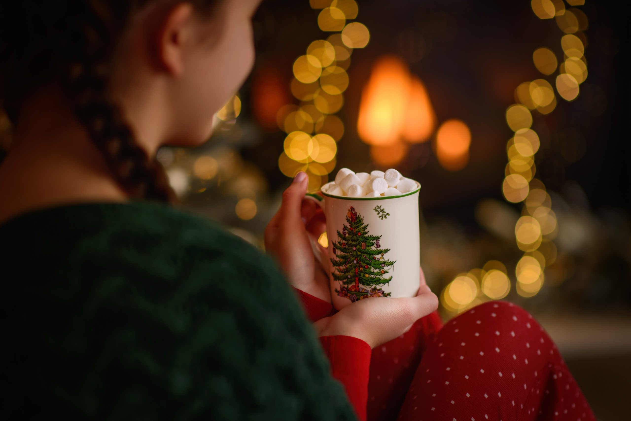 Christmas. Wedding & portrait photography in the Seattle Area. Helen Michelle photographer