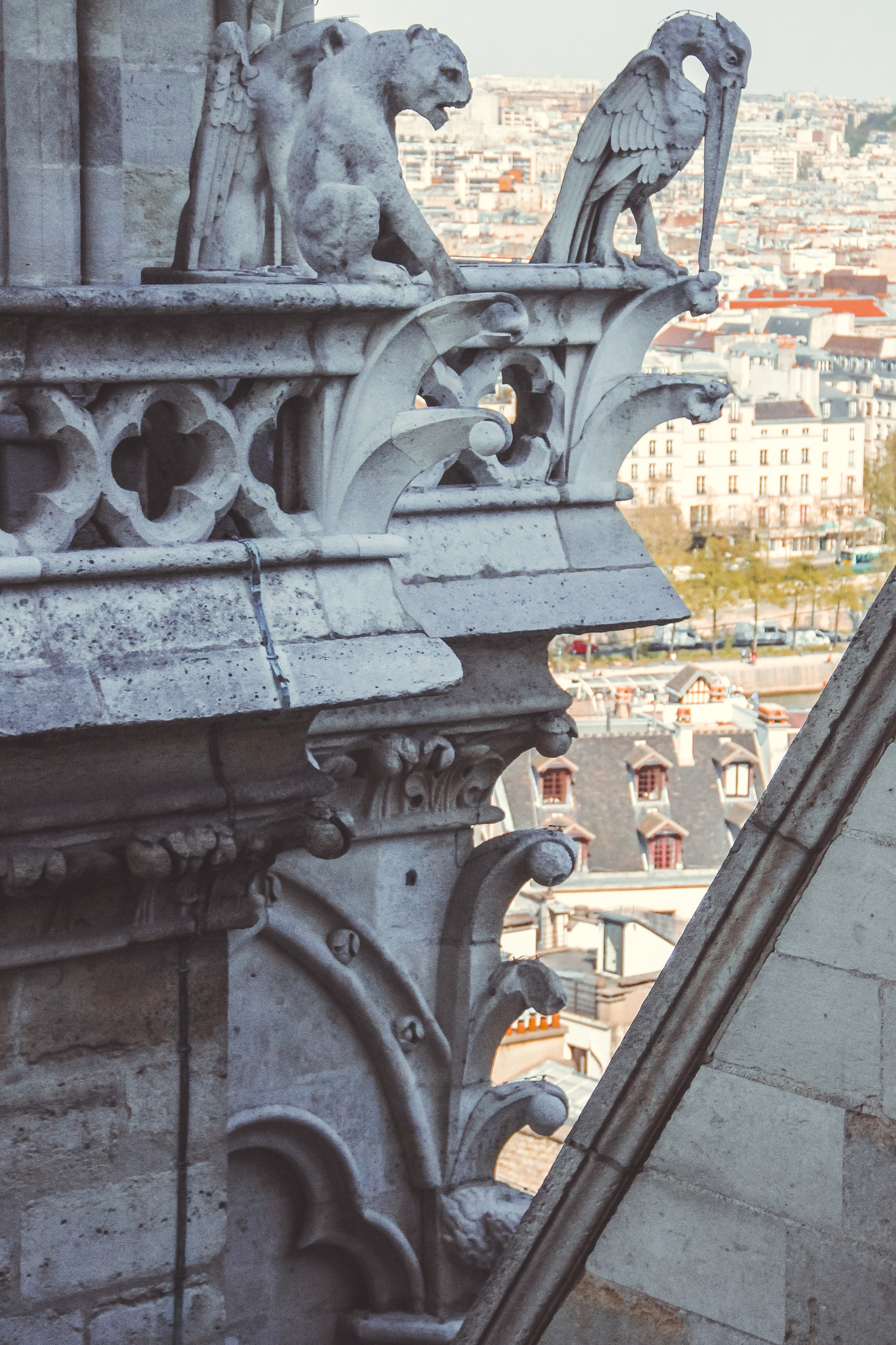 Увидеть Париж десять лет спустя. Фотограф в Германии — Мария Чистякова