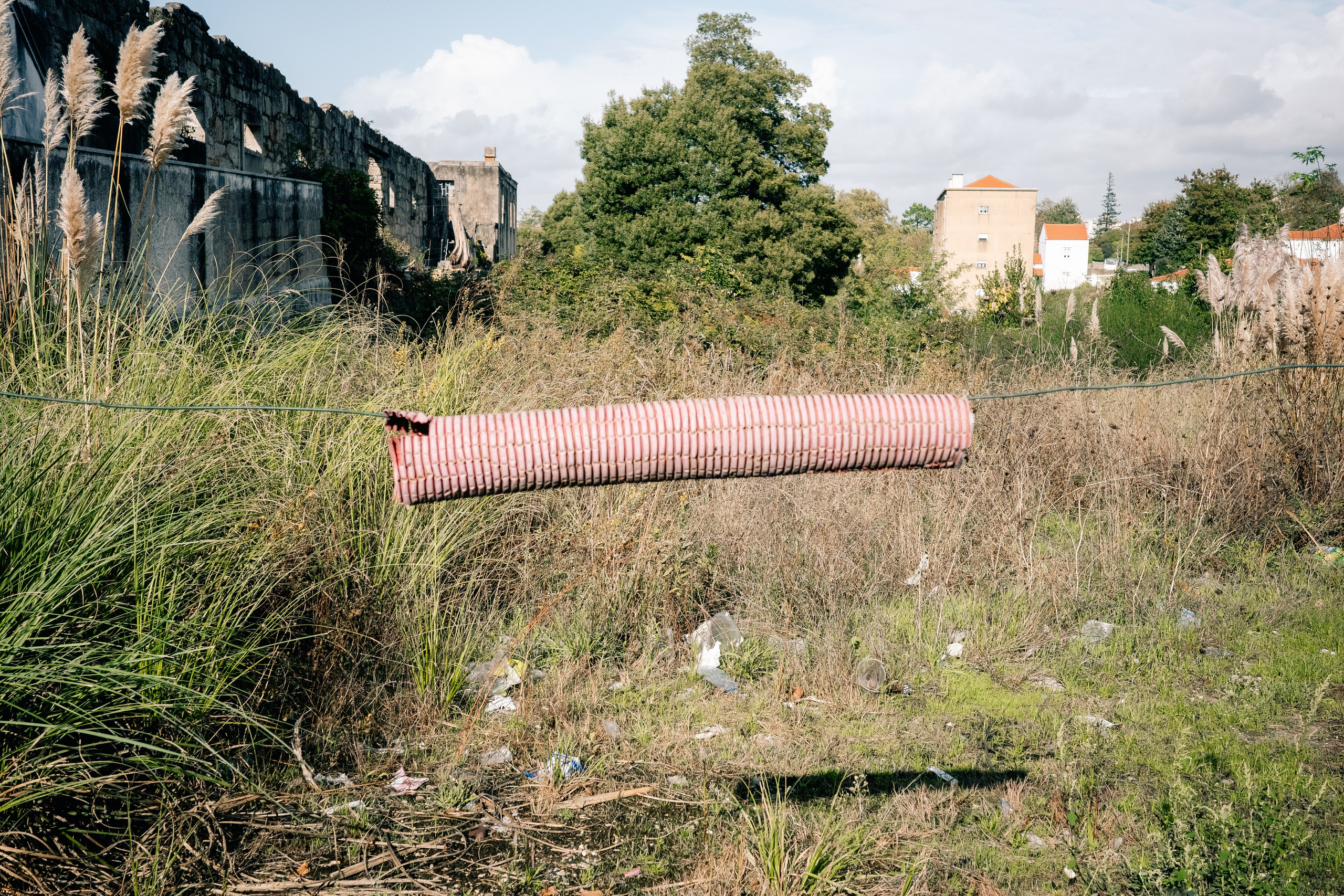 Работы Марии Шер. Sher.SCHOOL