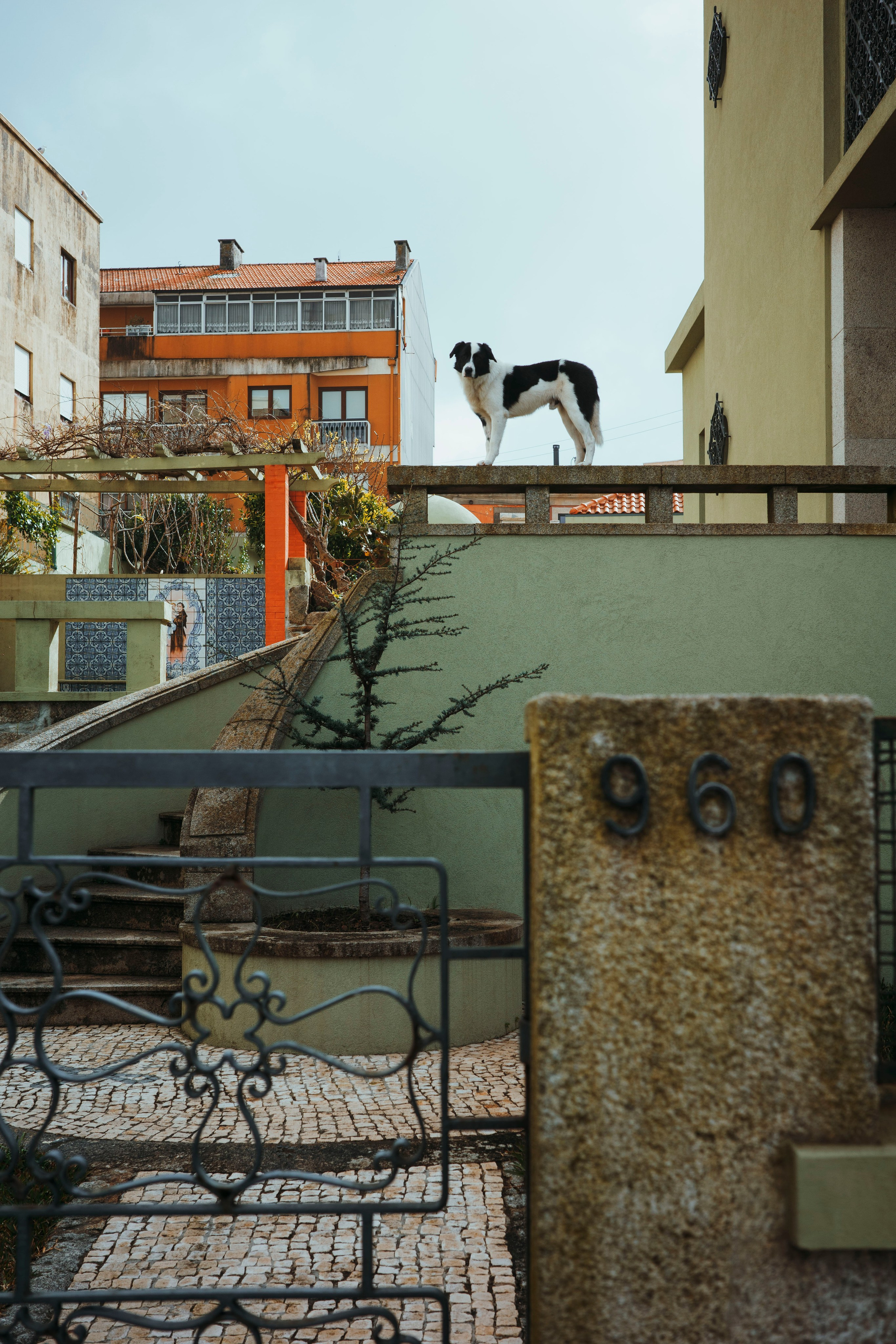 Работы Марии Шер. Sher.SCHOOL