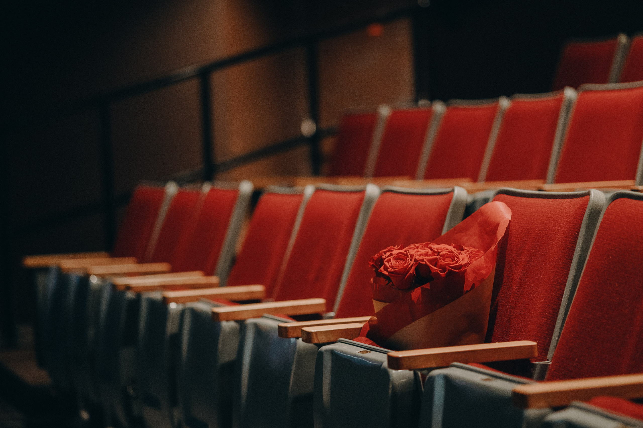 Chameleon — Reportage. Yana Bobrova | Artistic Photography