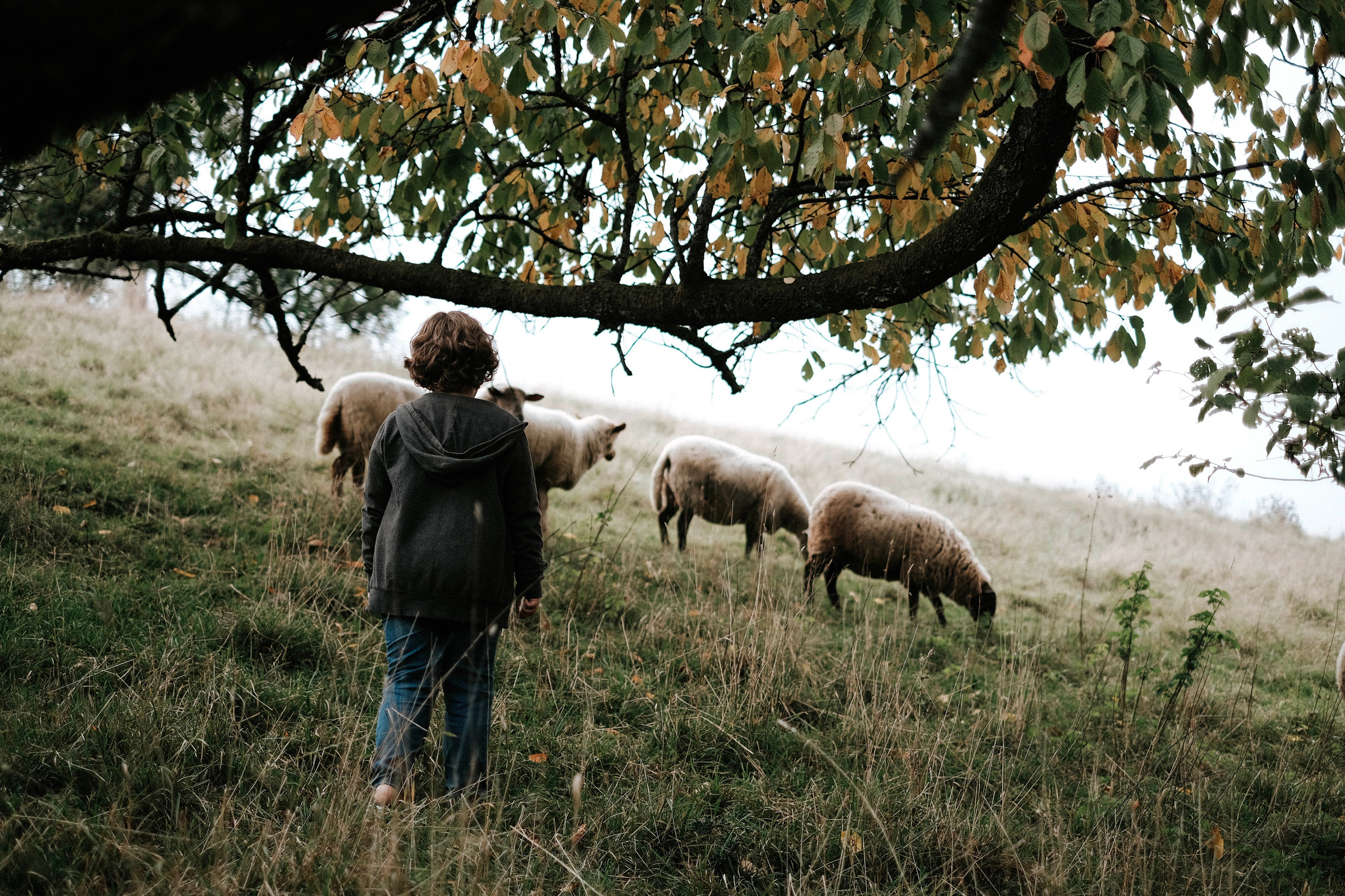 Lena&Lev. Authentische Familienfotografie in Köln