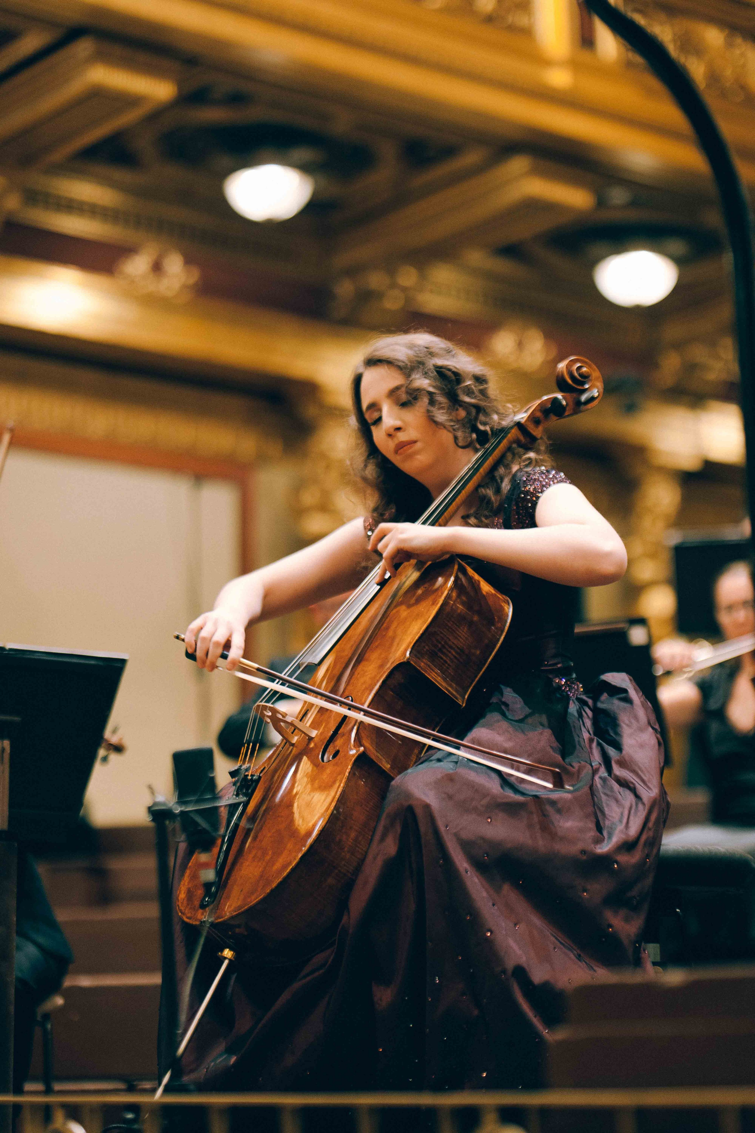 MUSIKVEREIN (VIENNA). Wedding&Event photographer Ismail Rzayev in Baku