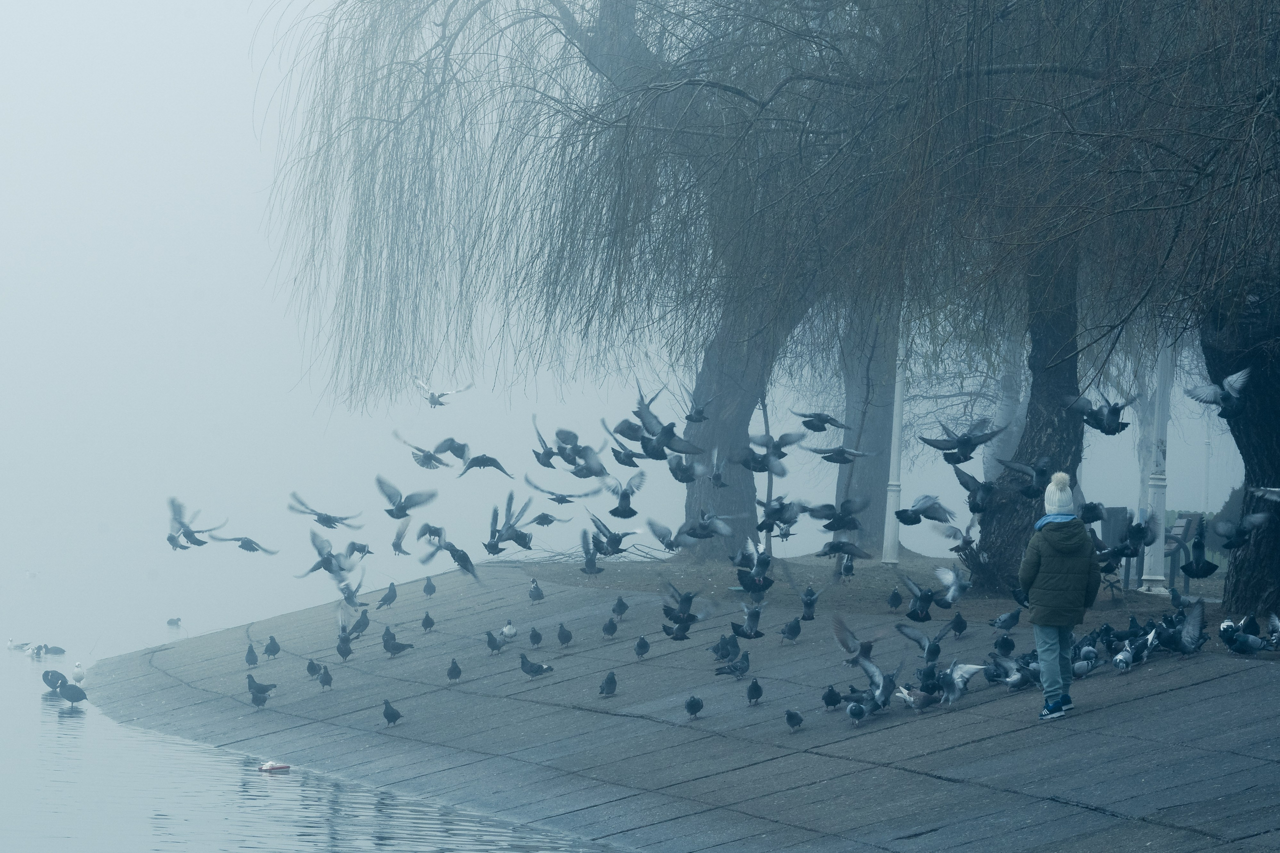 O dimineață cețoasă