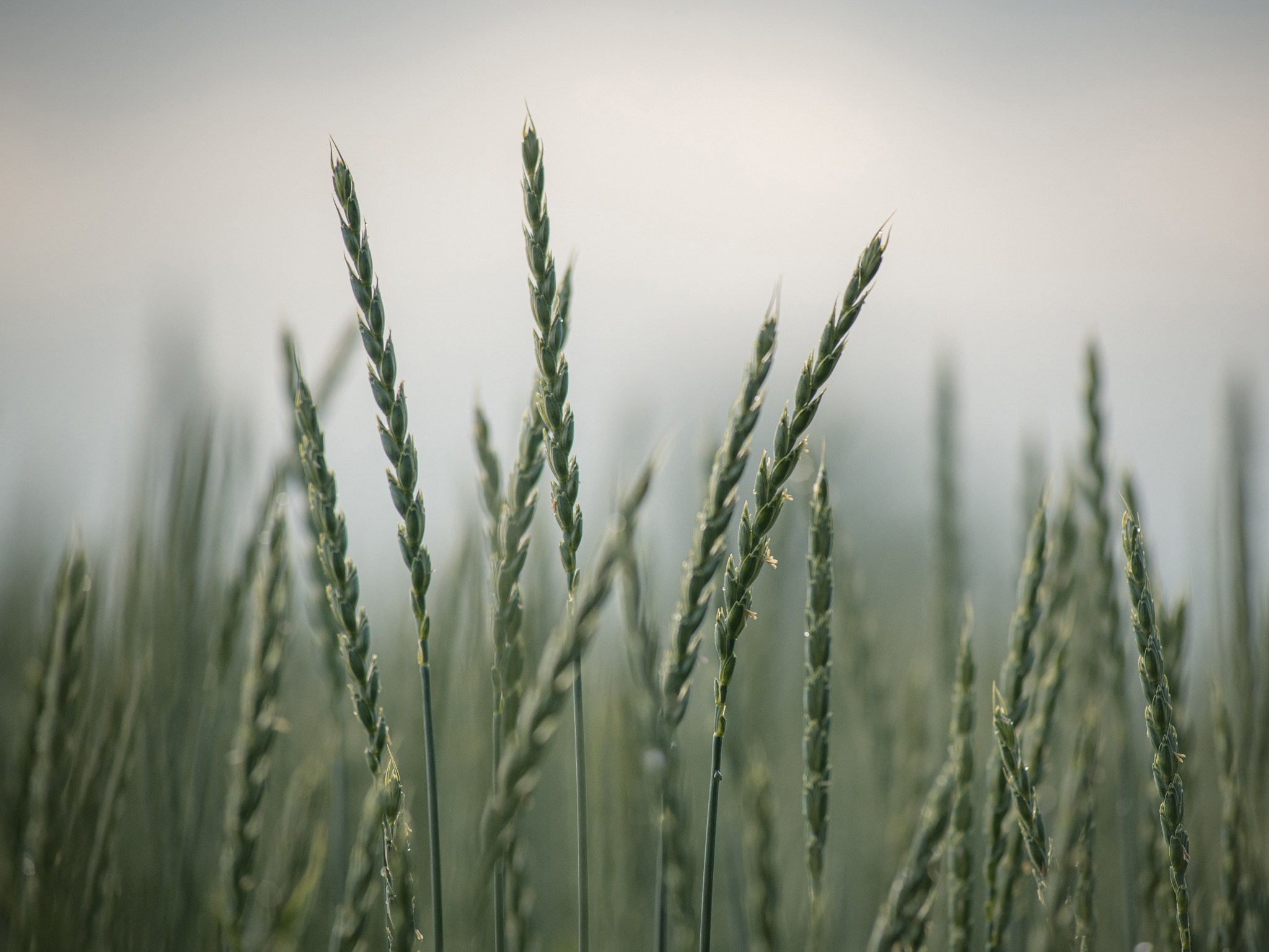 Intimate Landscapes. Nature Photographer and Videographer from Germany